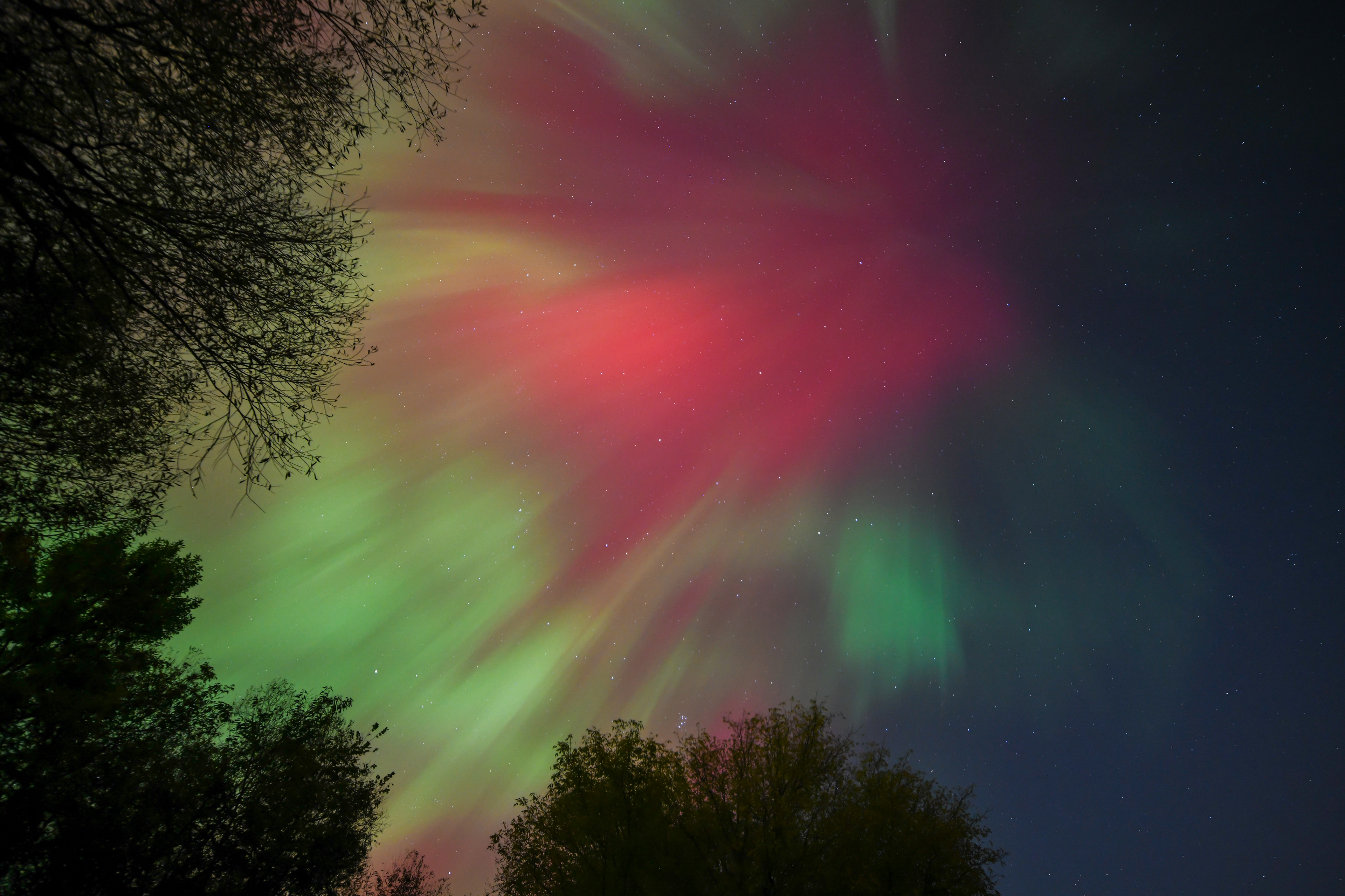 Aurora 48