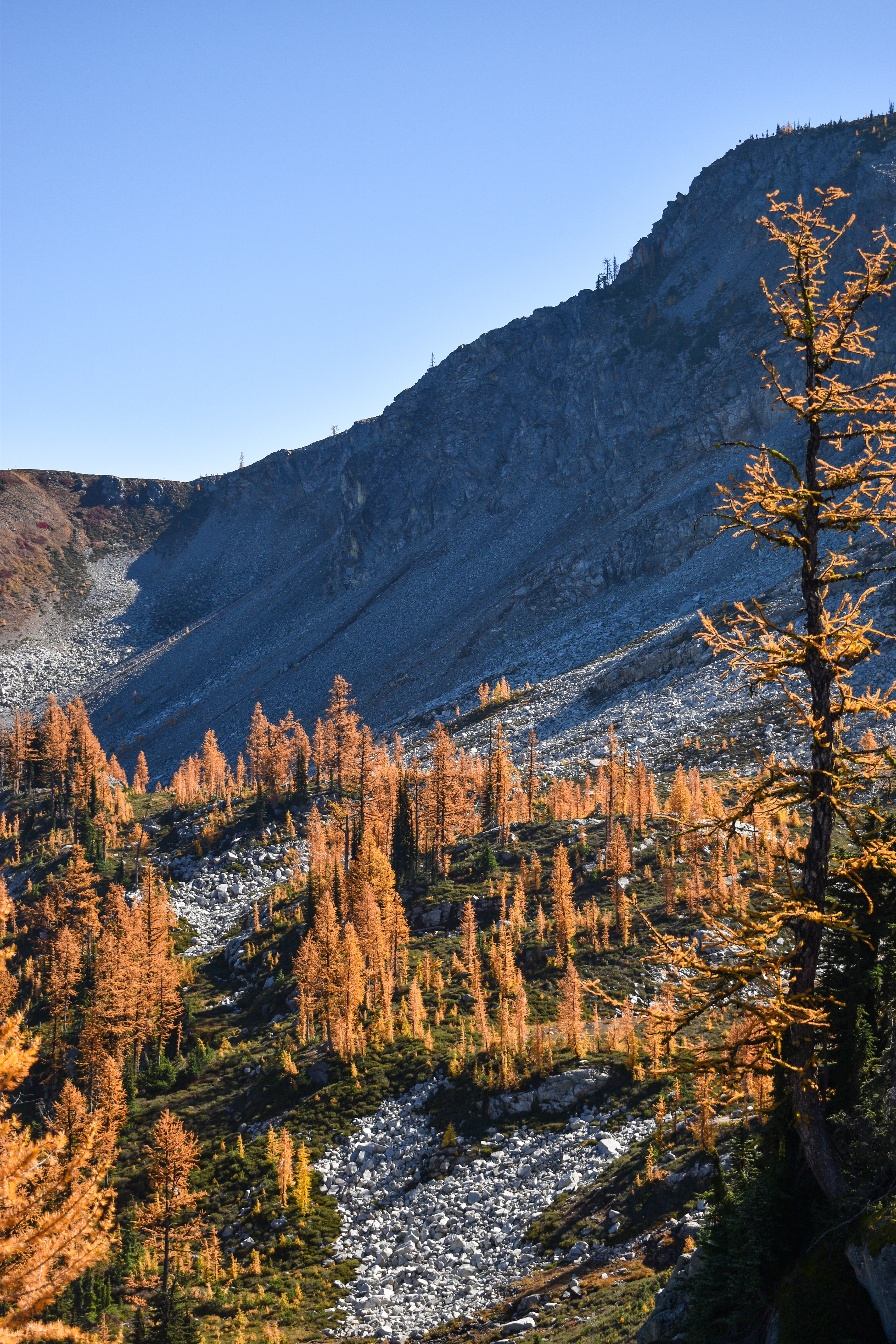 North Cascades 19
