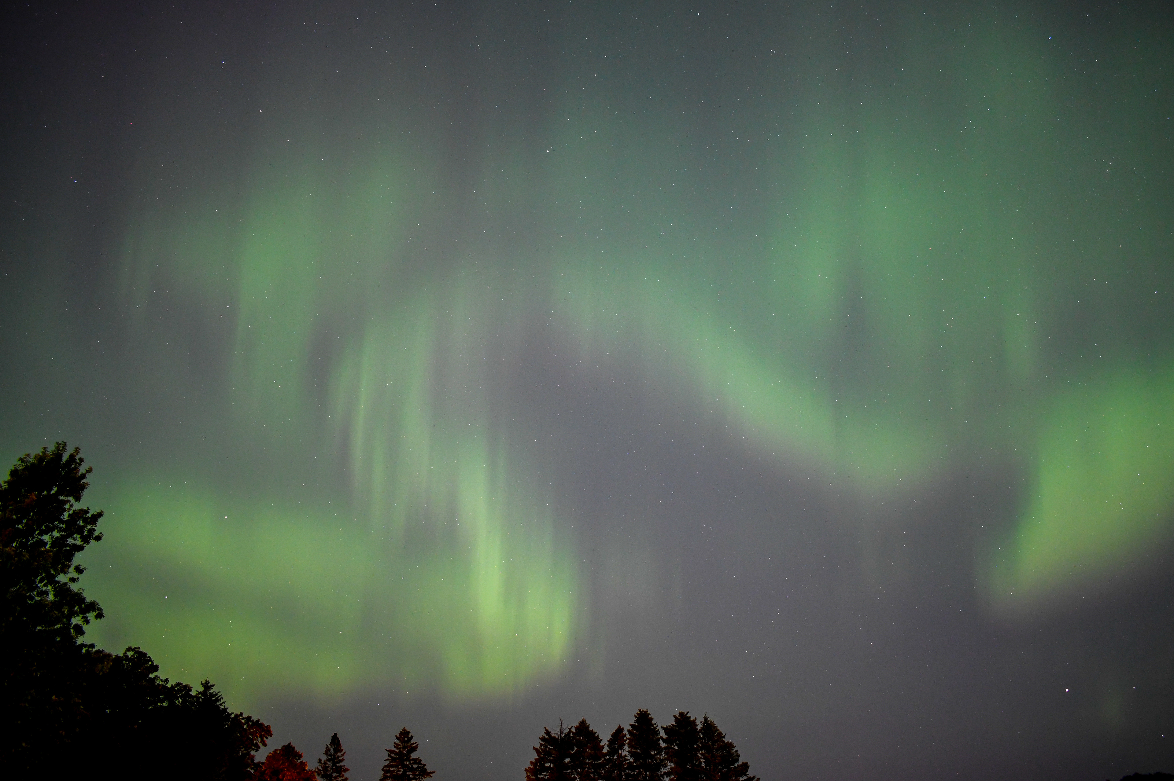 Aurora 56
