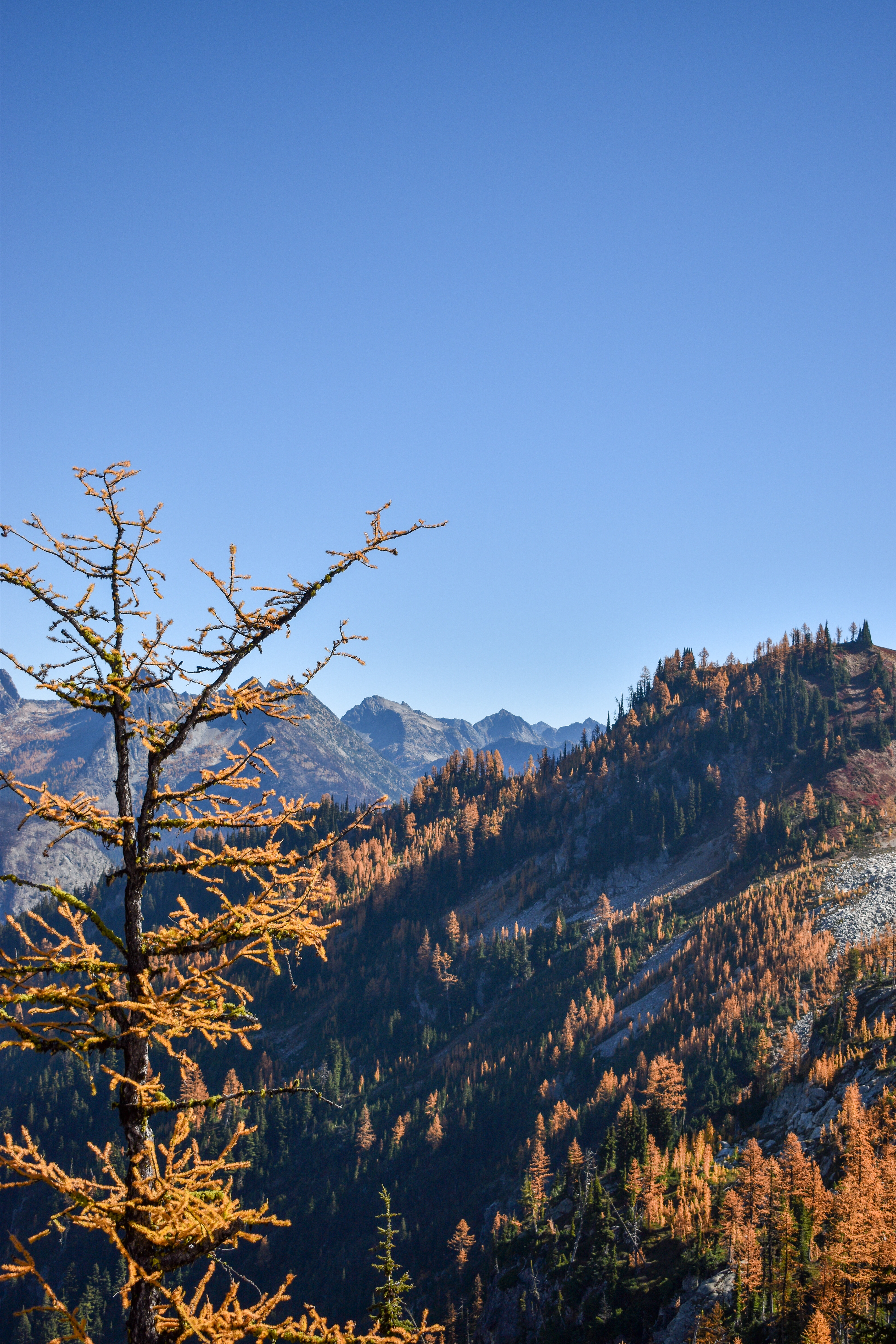 North Cascades 20
