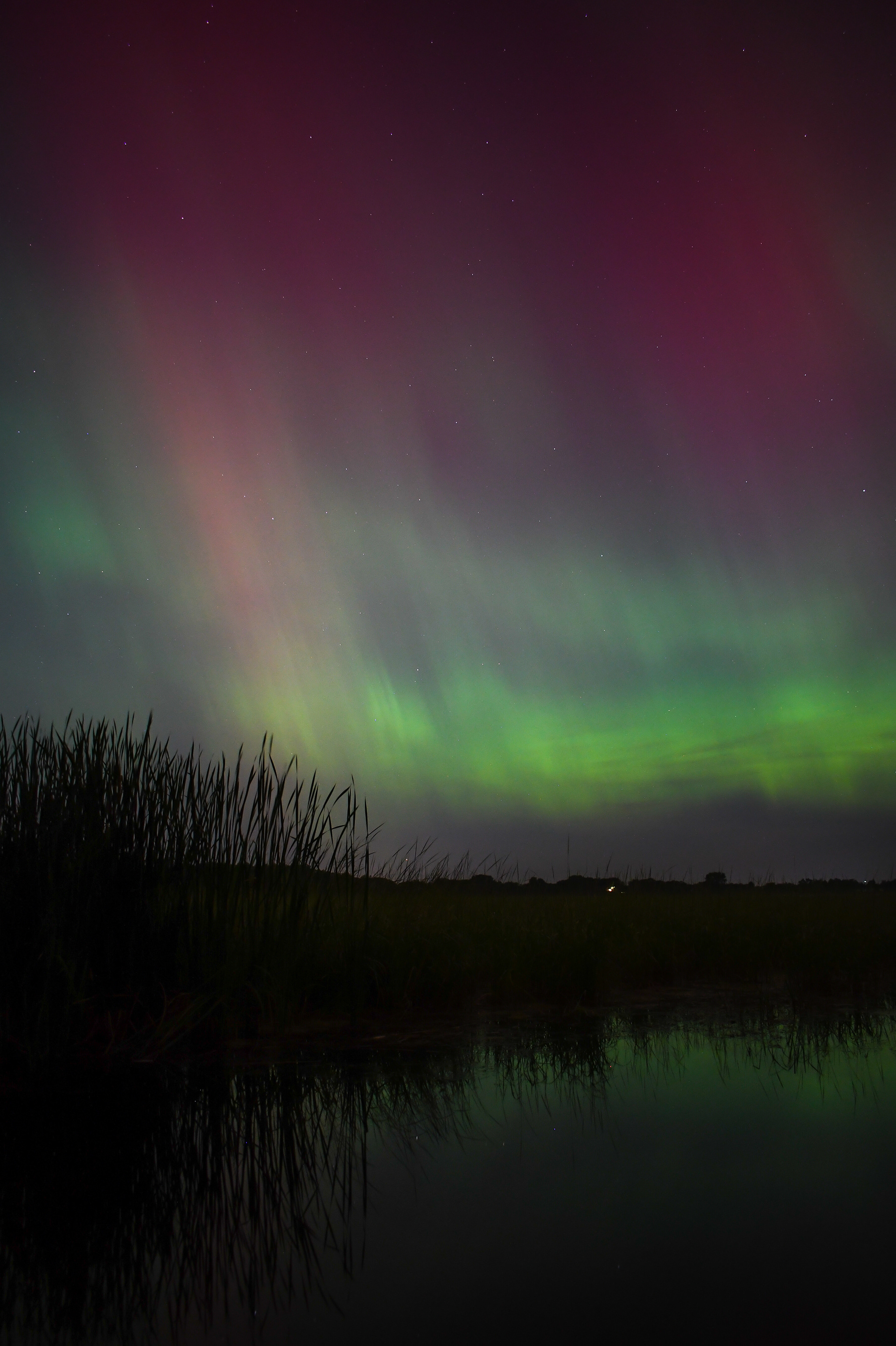 Aurora 61