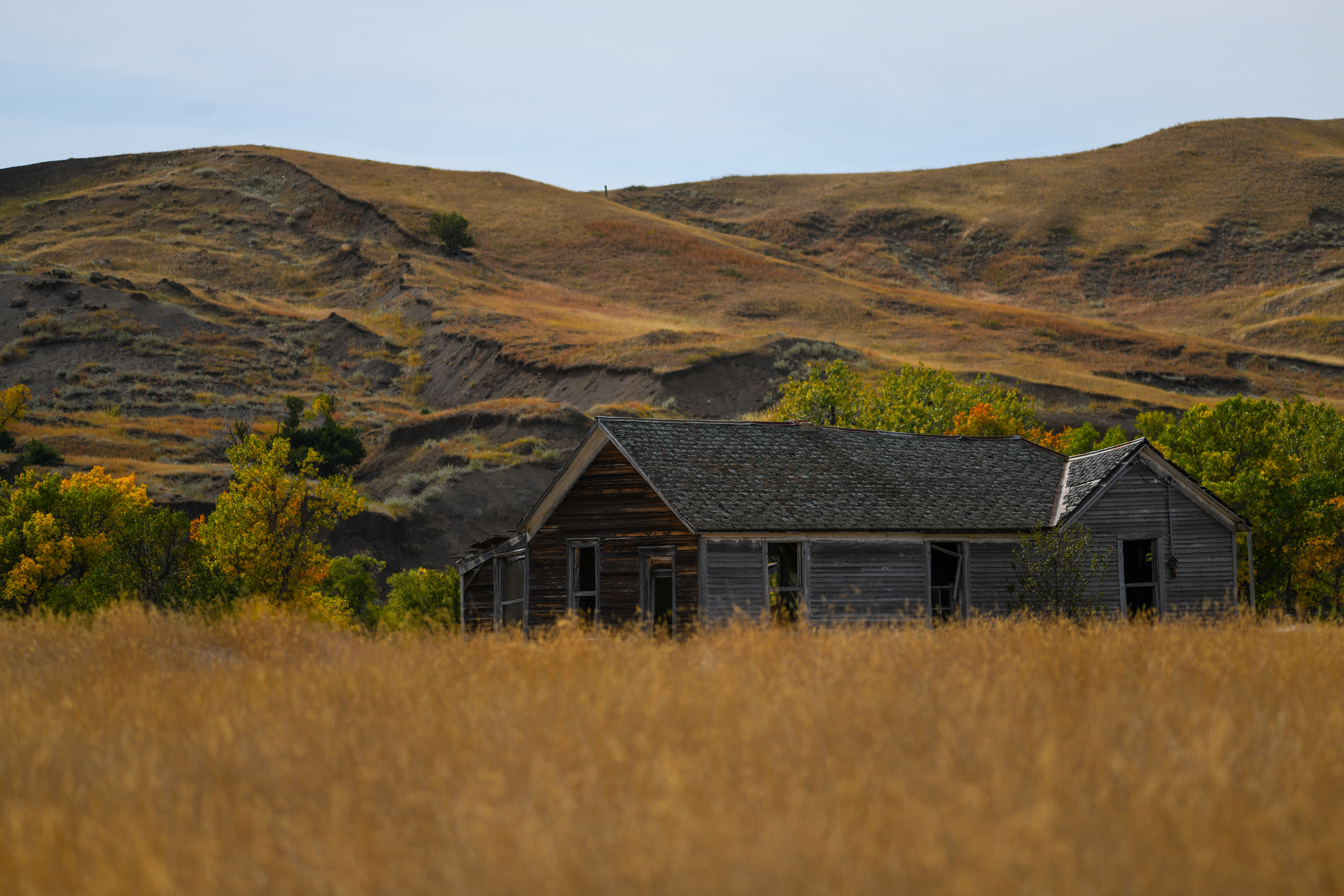 South Dakota 5