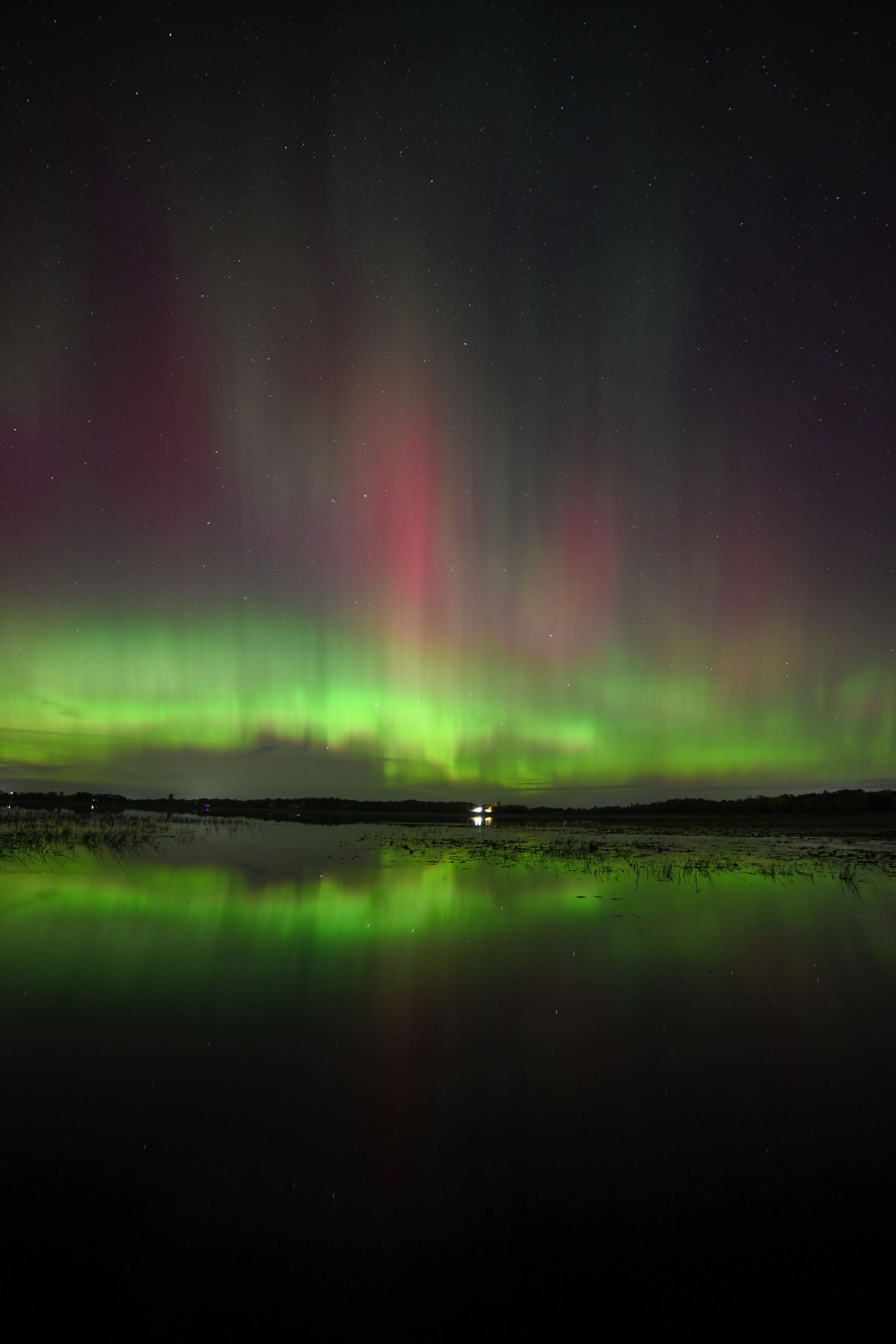 Aurora 67