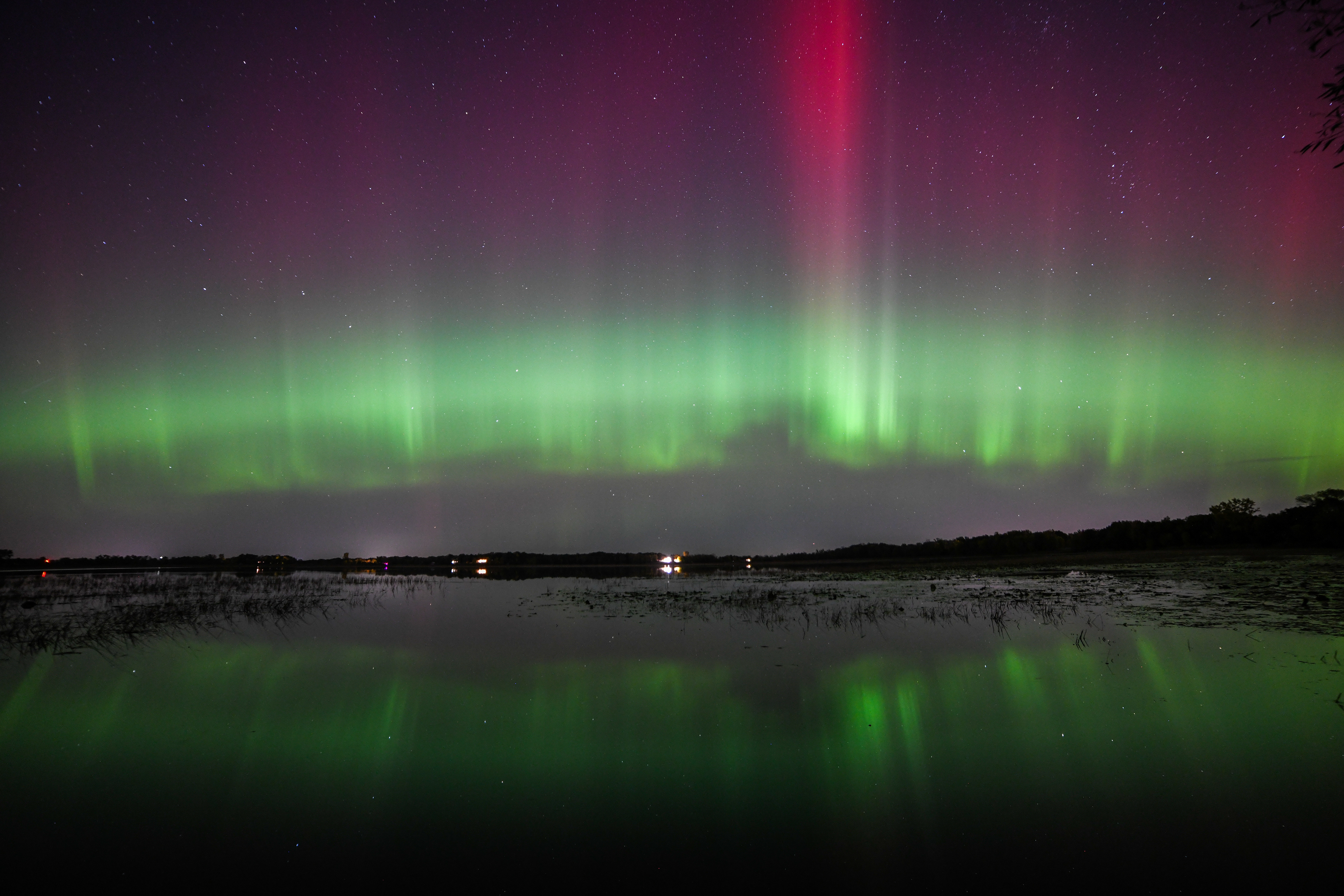 Aurora 68