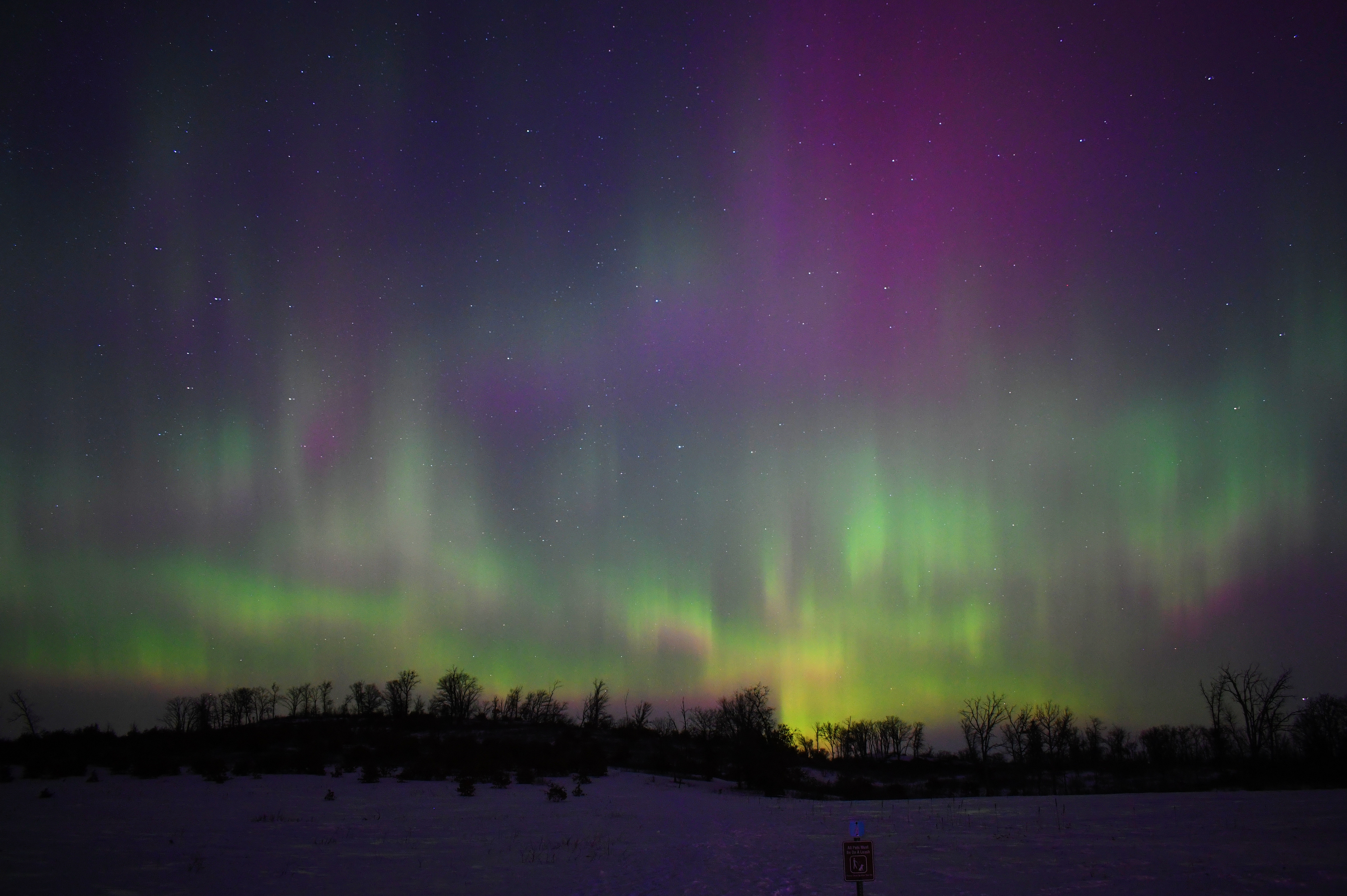 Aurora 1