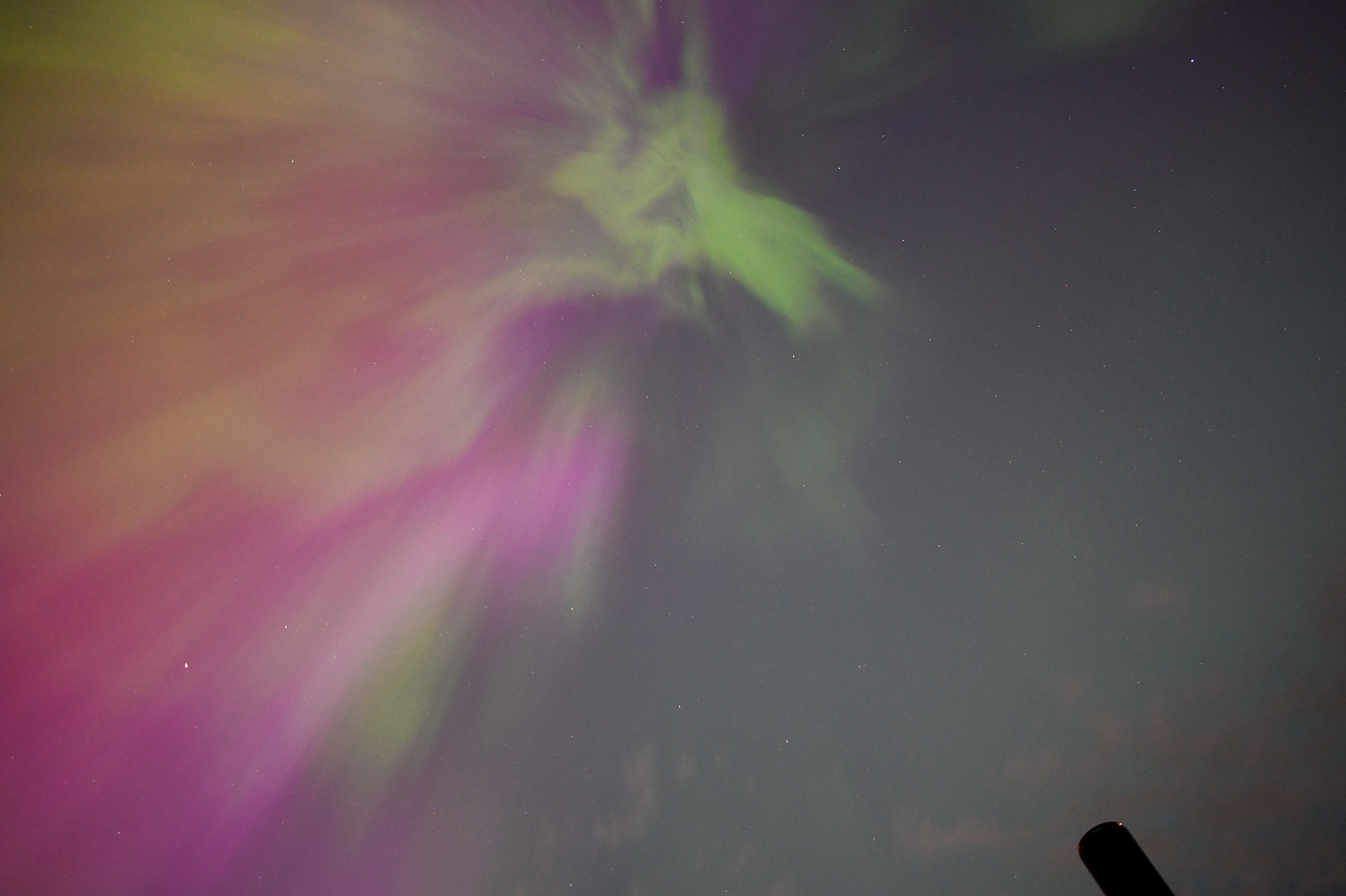 Aurora 8