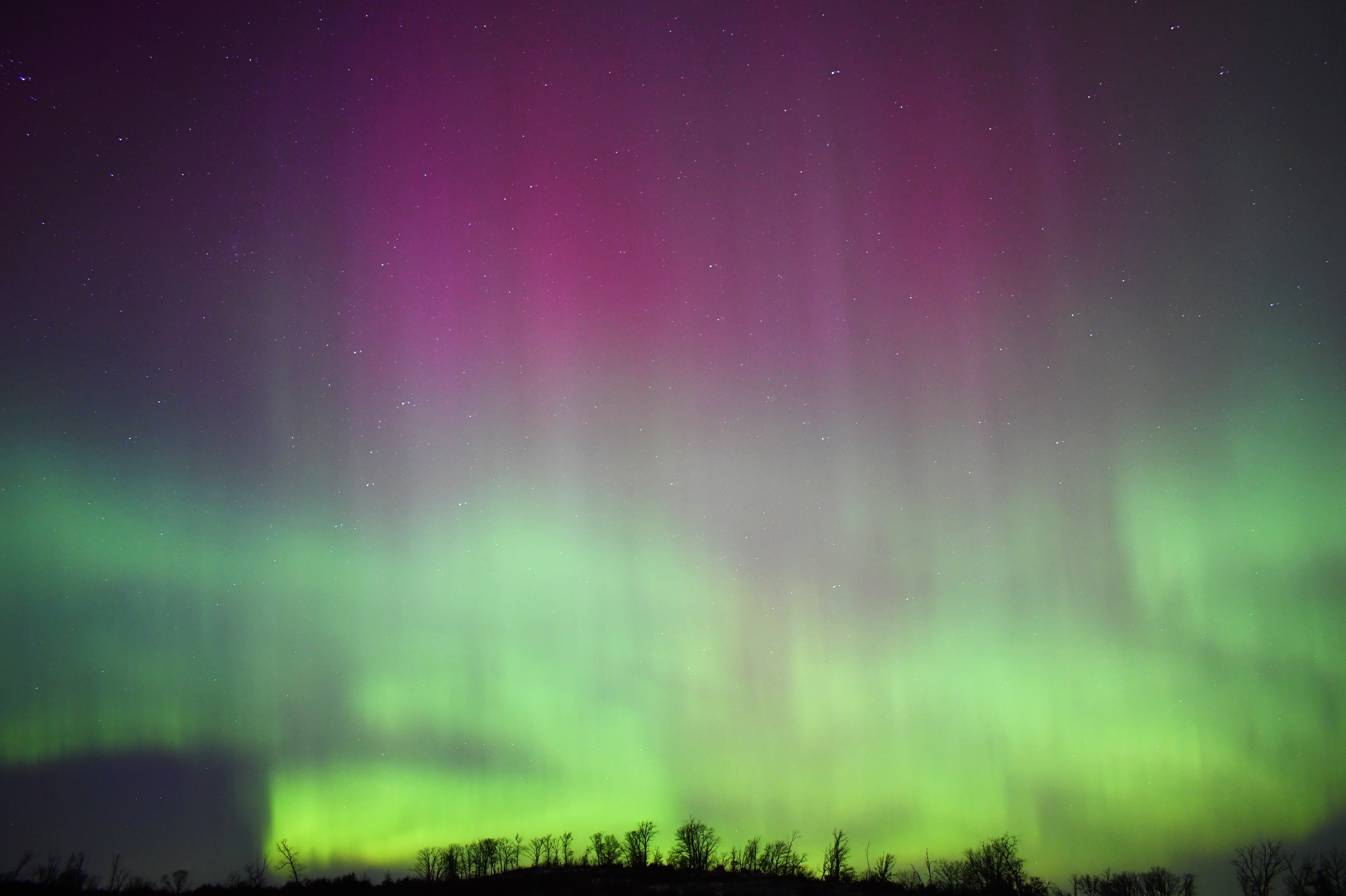 Aurora 38