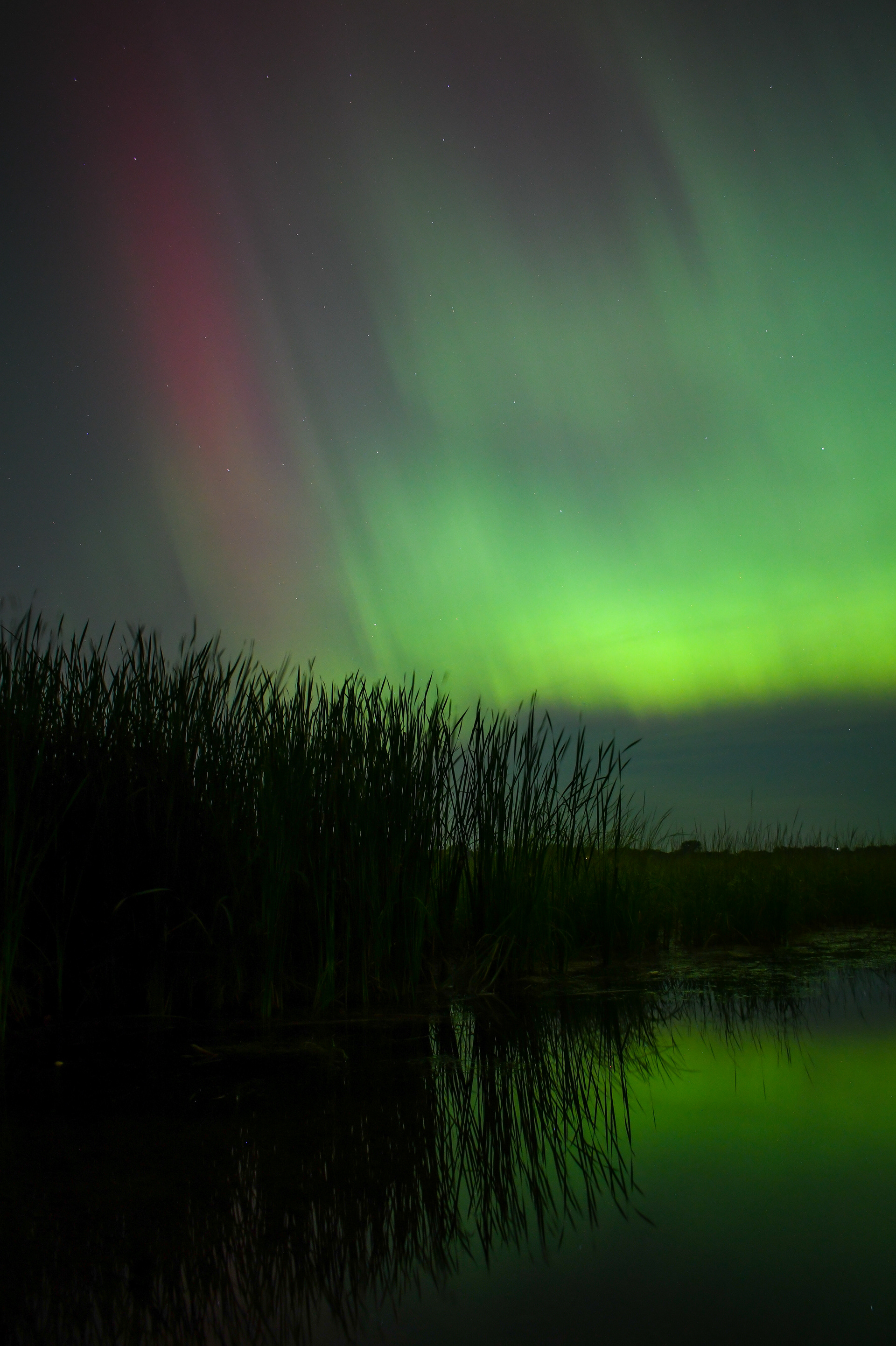 Aurora 59