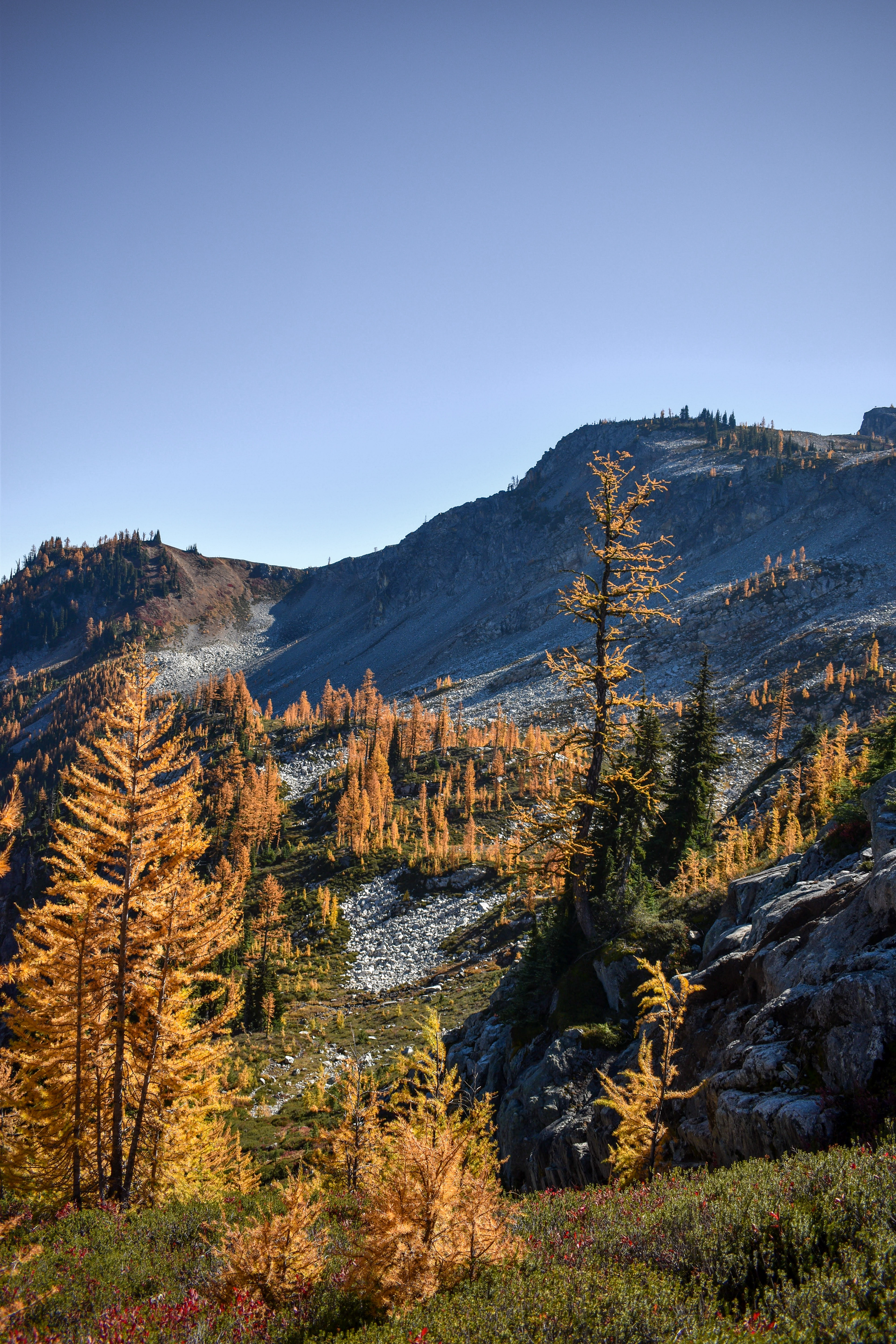 North Cascades 4