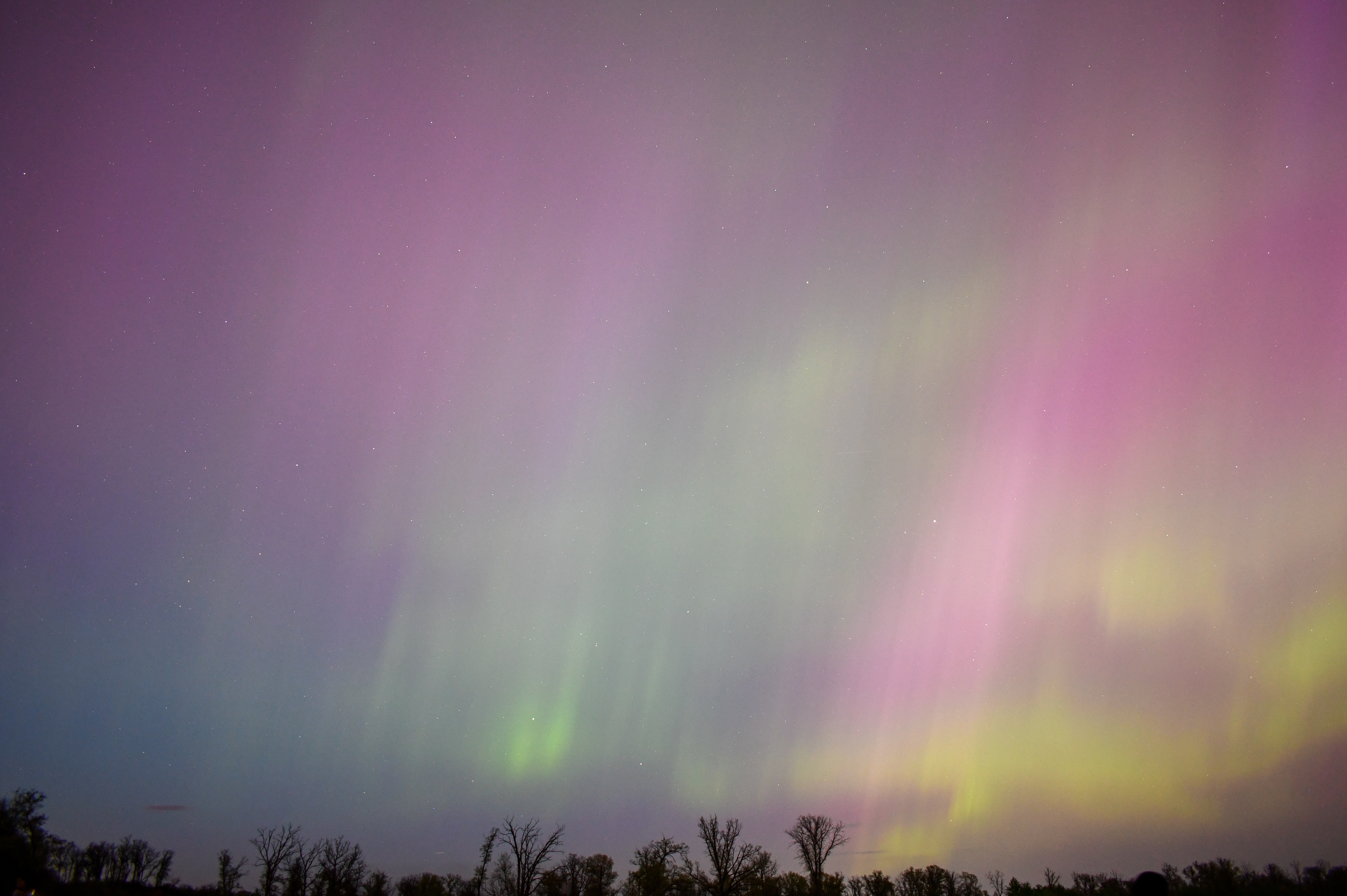 Aurora 21