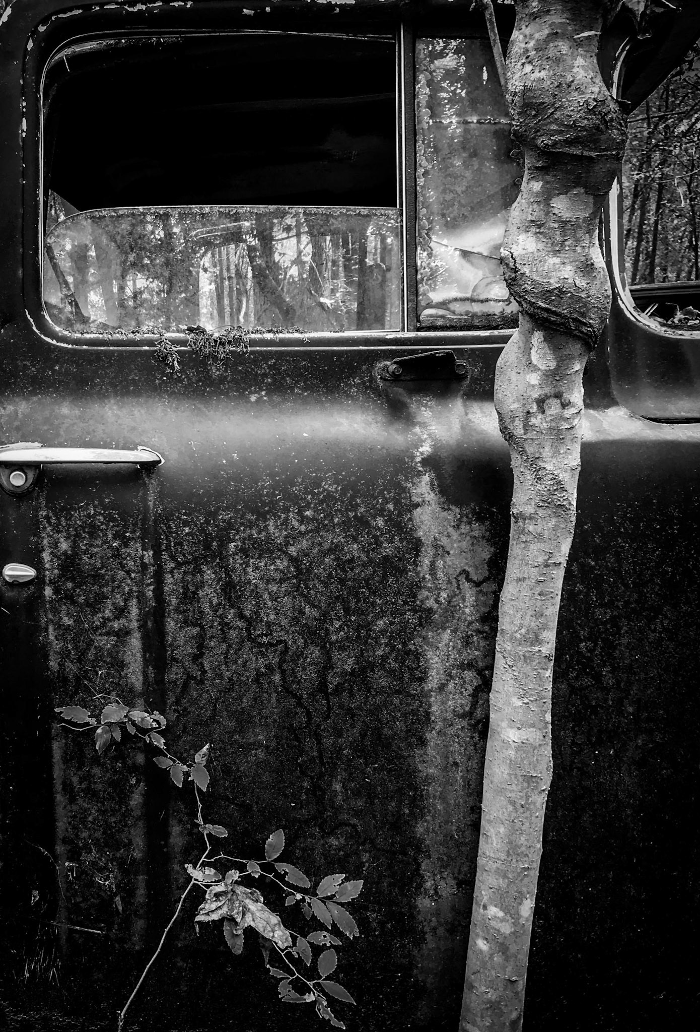 Old Car City - White GA
