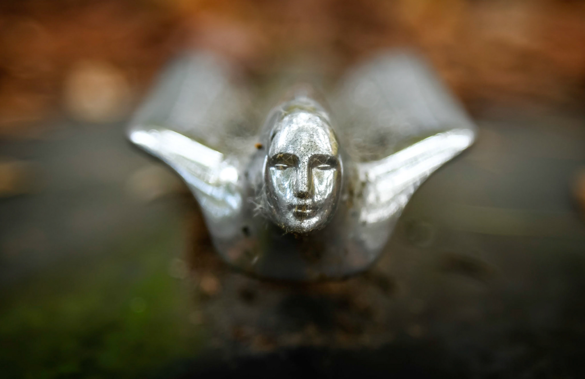 Fying Lady