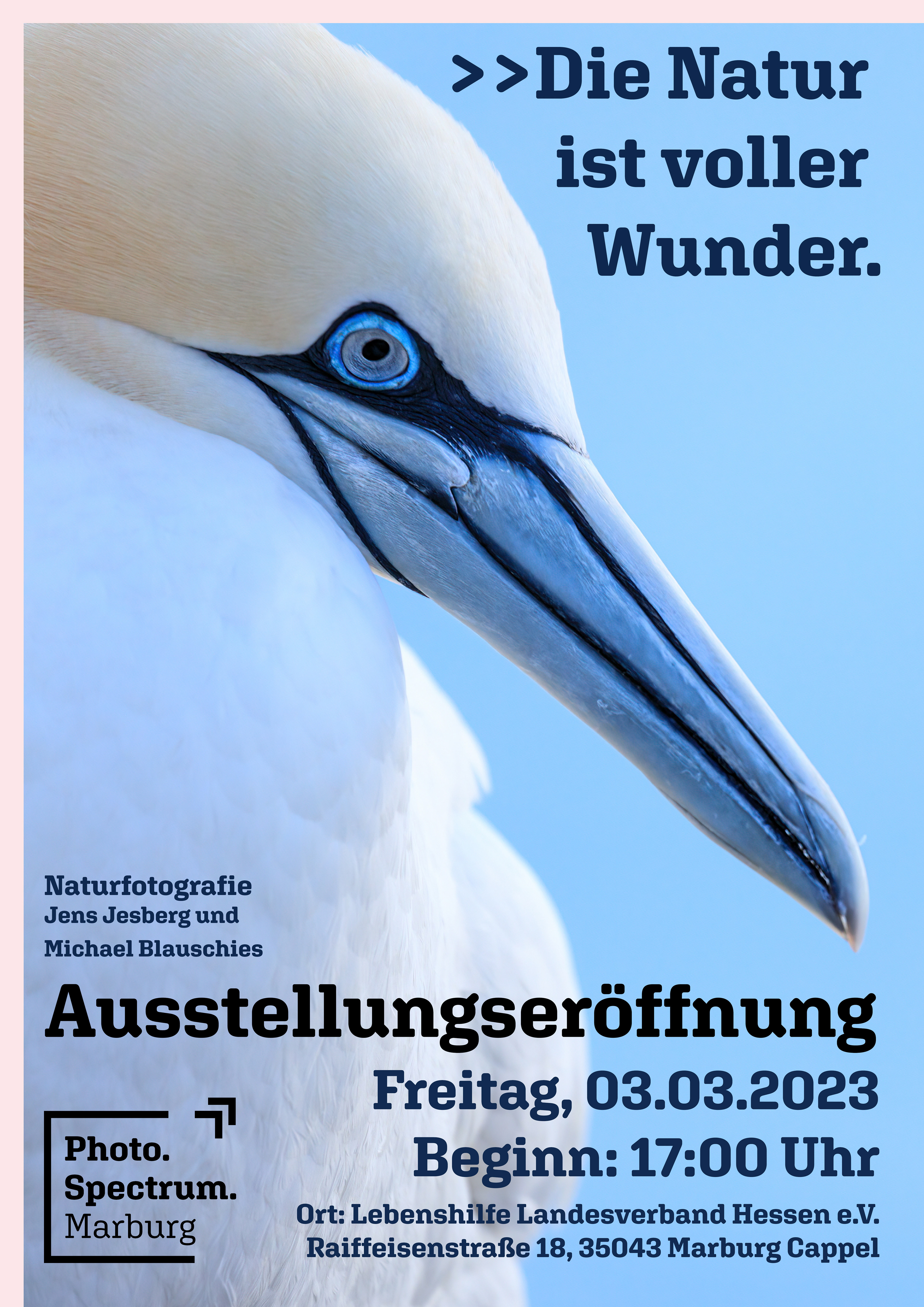 Die Natur ist voller Wunder - Ausstellung 2024