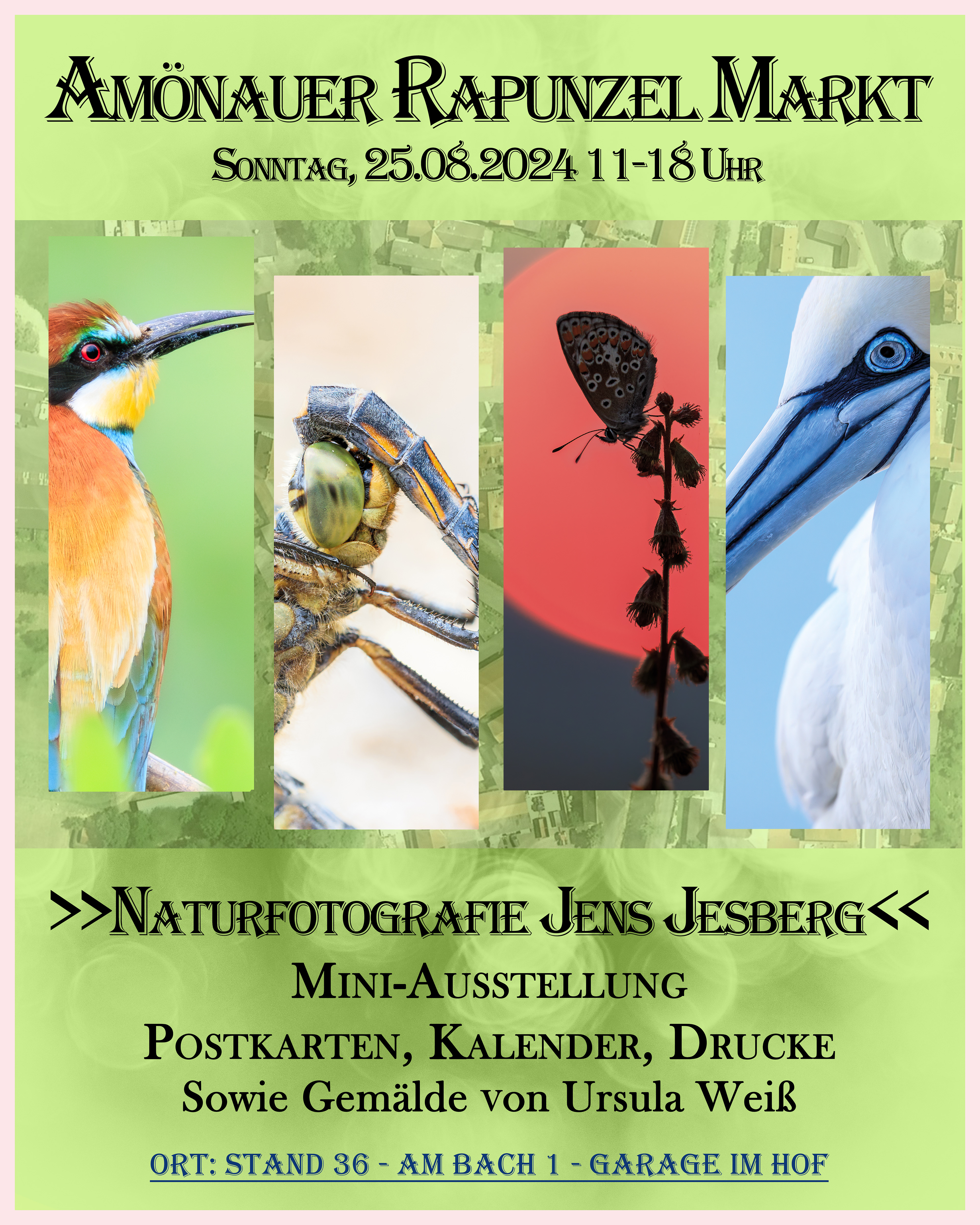 Amönauer Rapunzelmarkt 2024