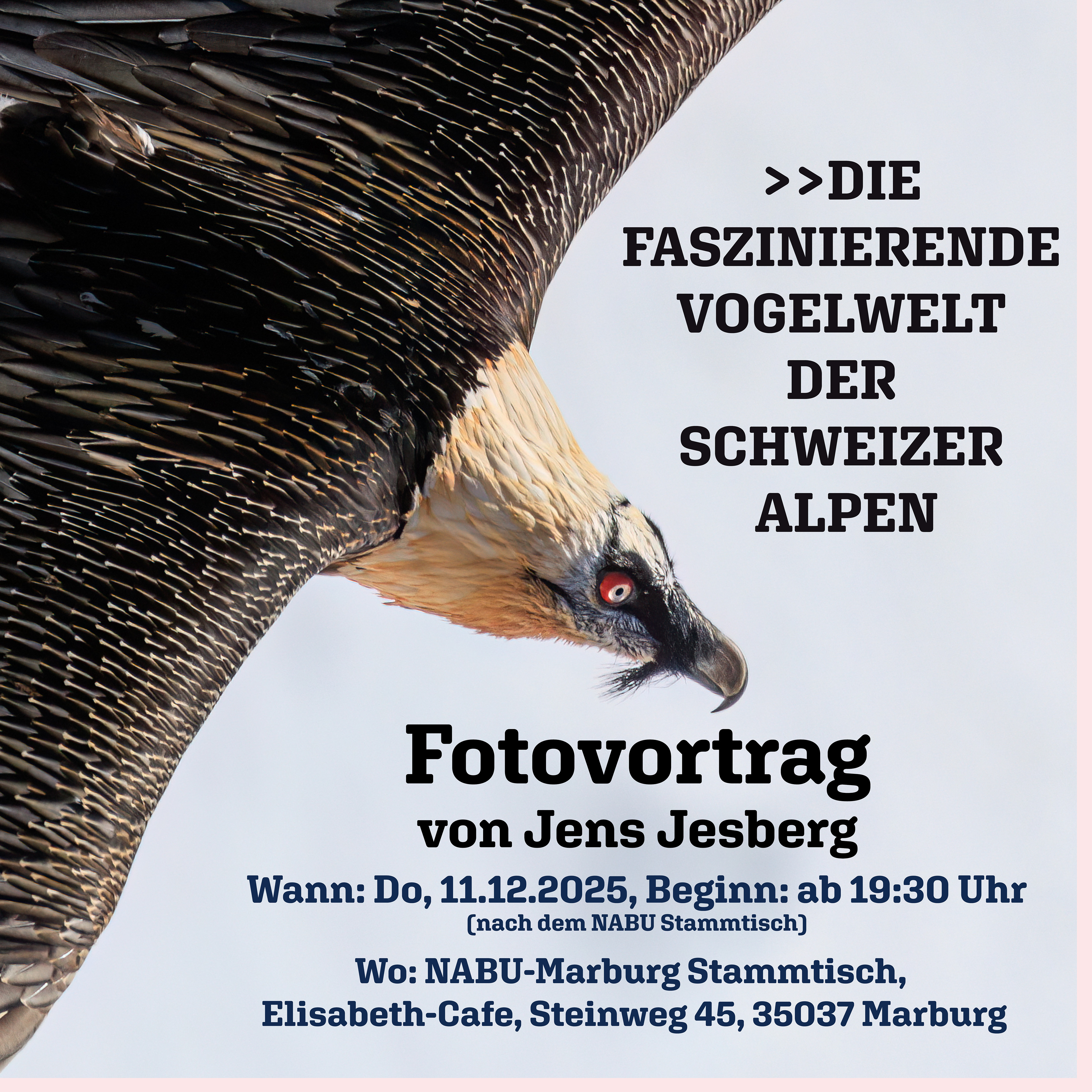 NABU Marburg - Elisabethcafe