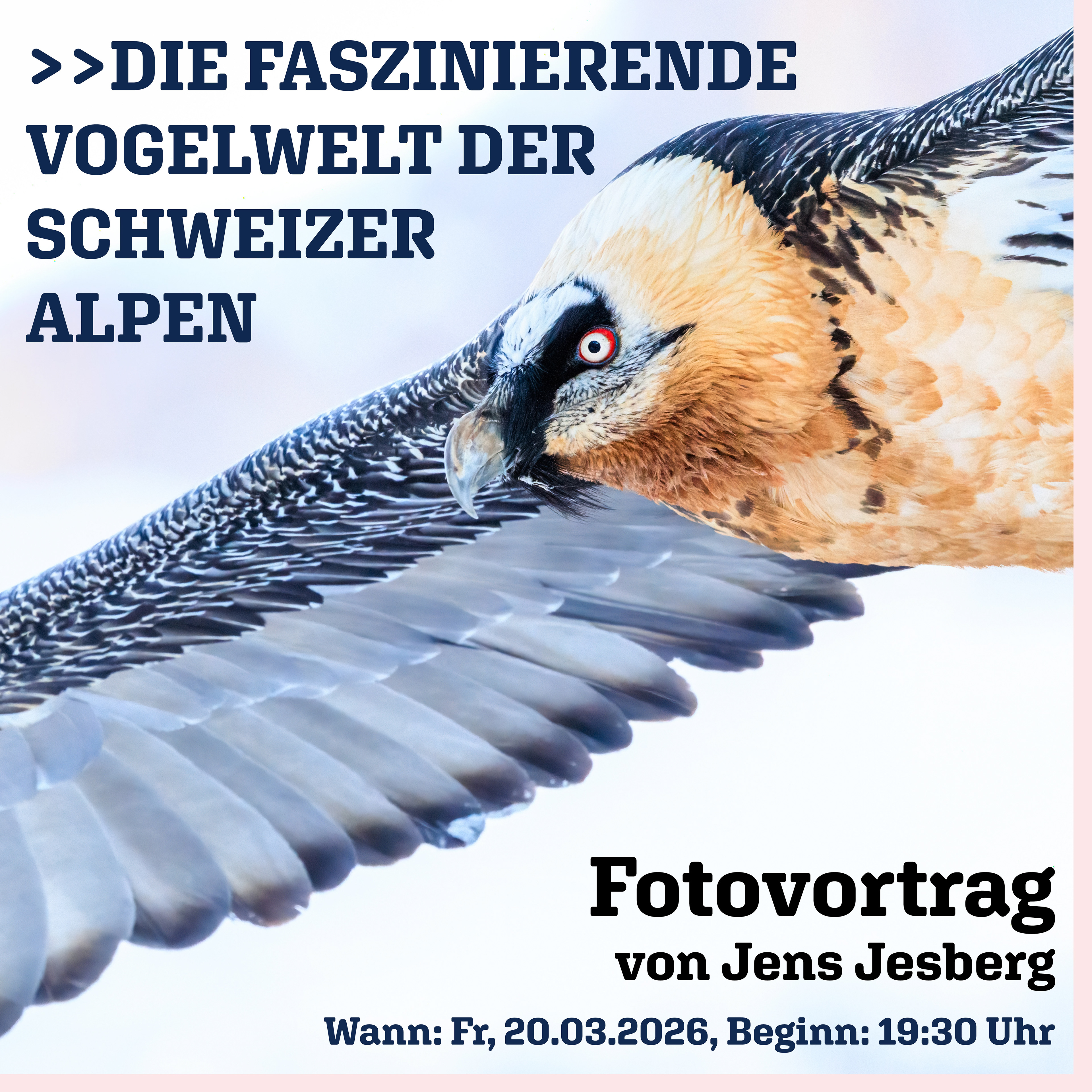 Bürgersaal Guxhagen