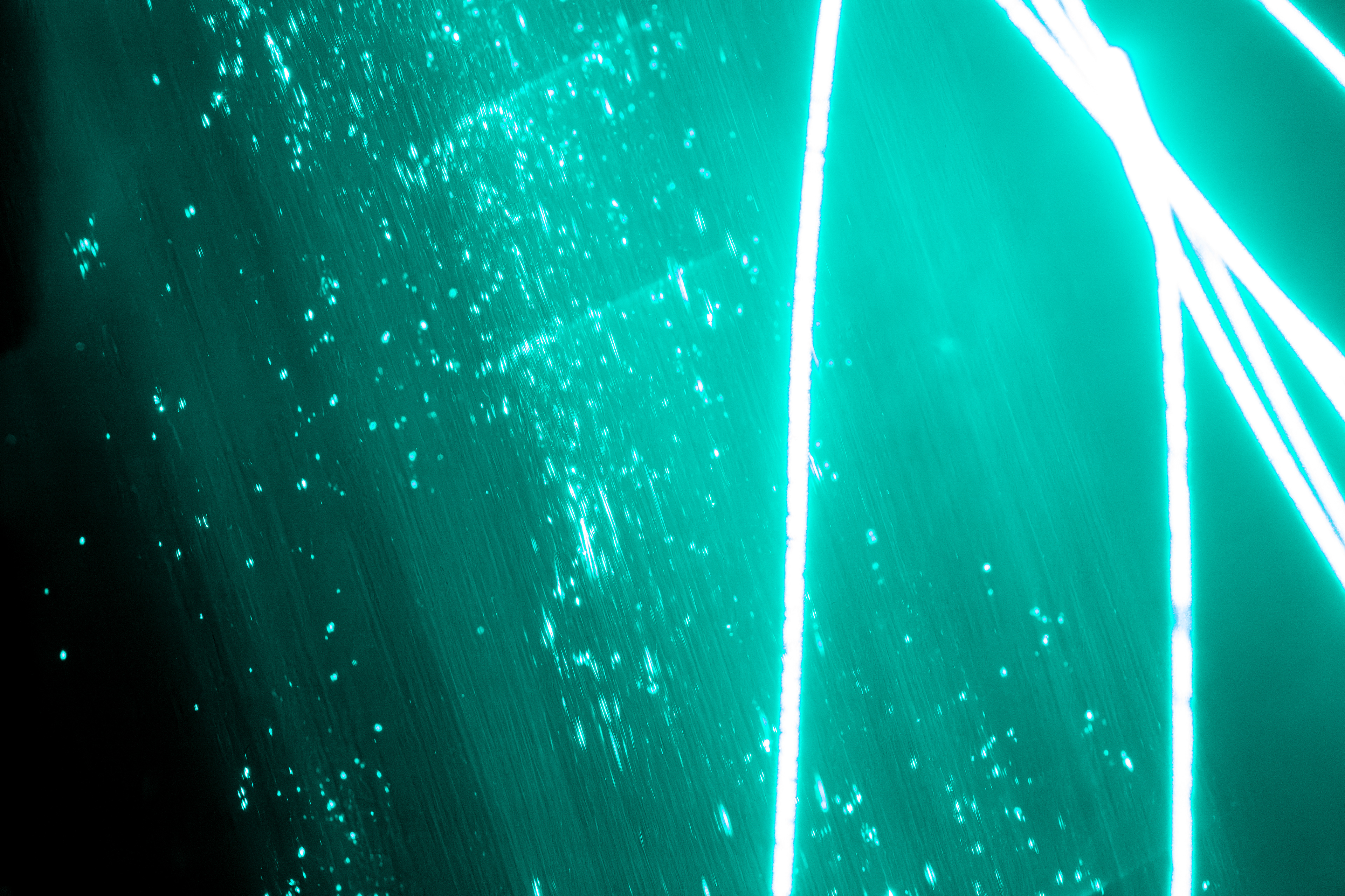 ISO 12800, f/11, 1.00s  |  Light Source: Laser in water