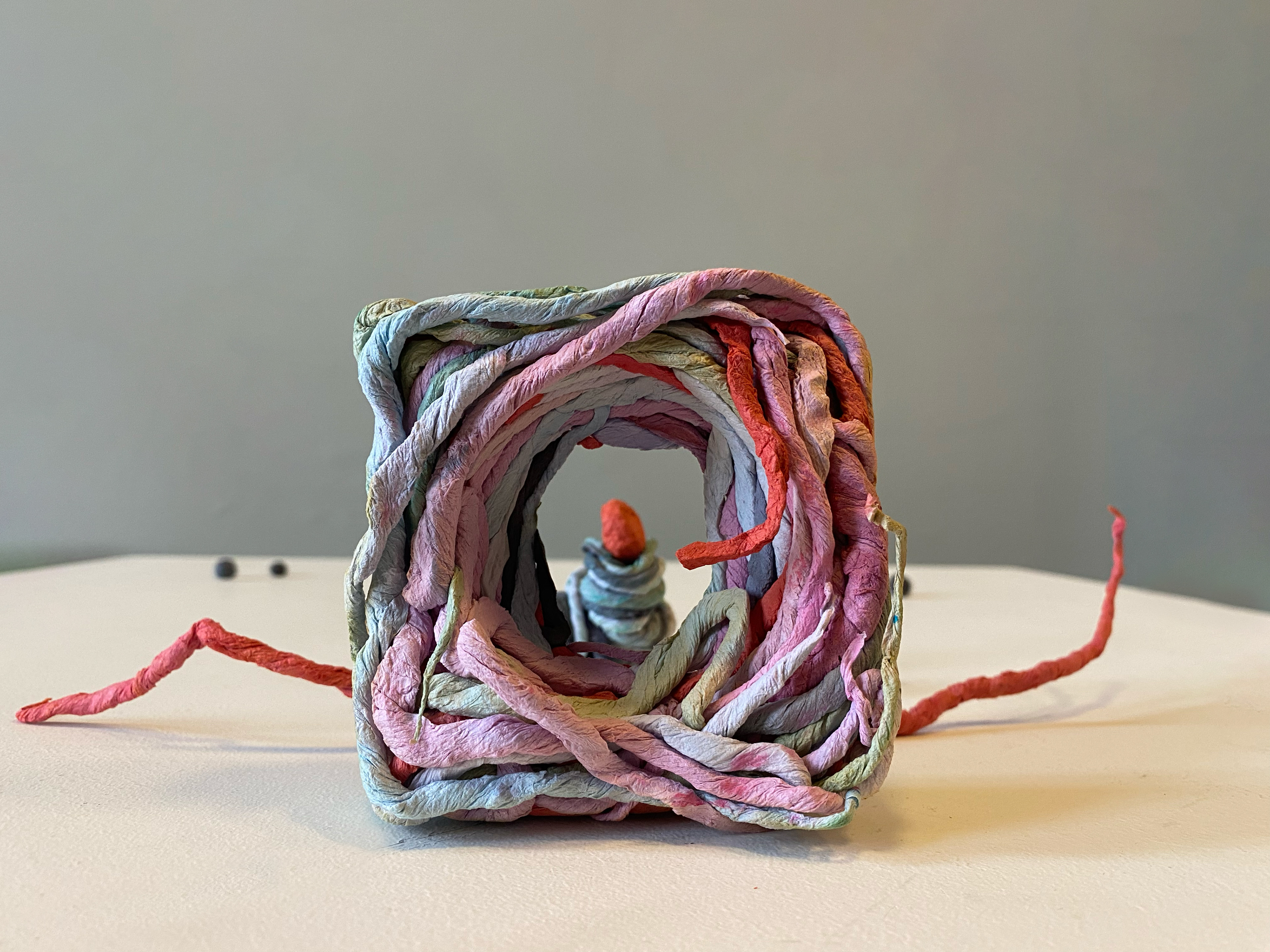 Looking at the monkey through a nest. Dimensions of the nest fragment: 20x5x20 cm, 2023