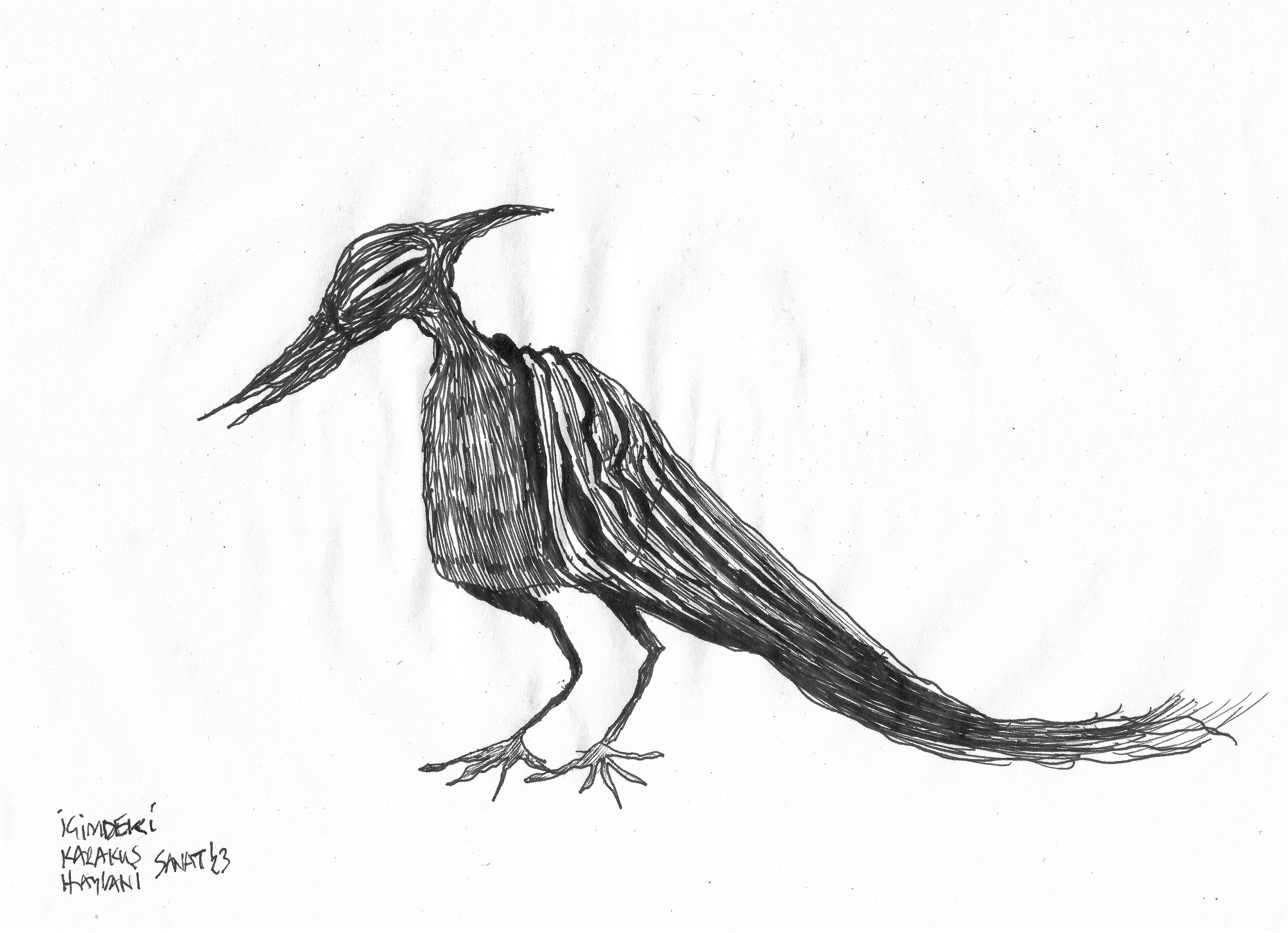 The Black Bird Inside Me // Drawing in ink pen on second pulp paper, 28x20 cm, 2023