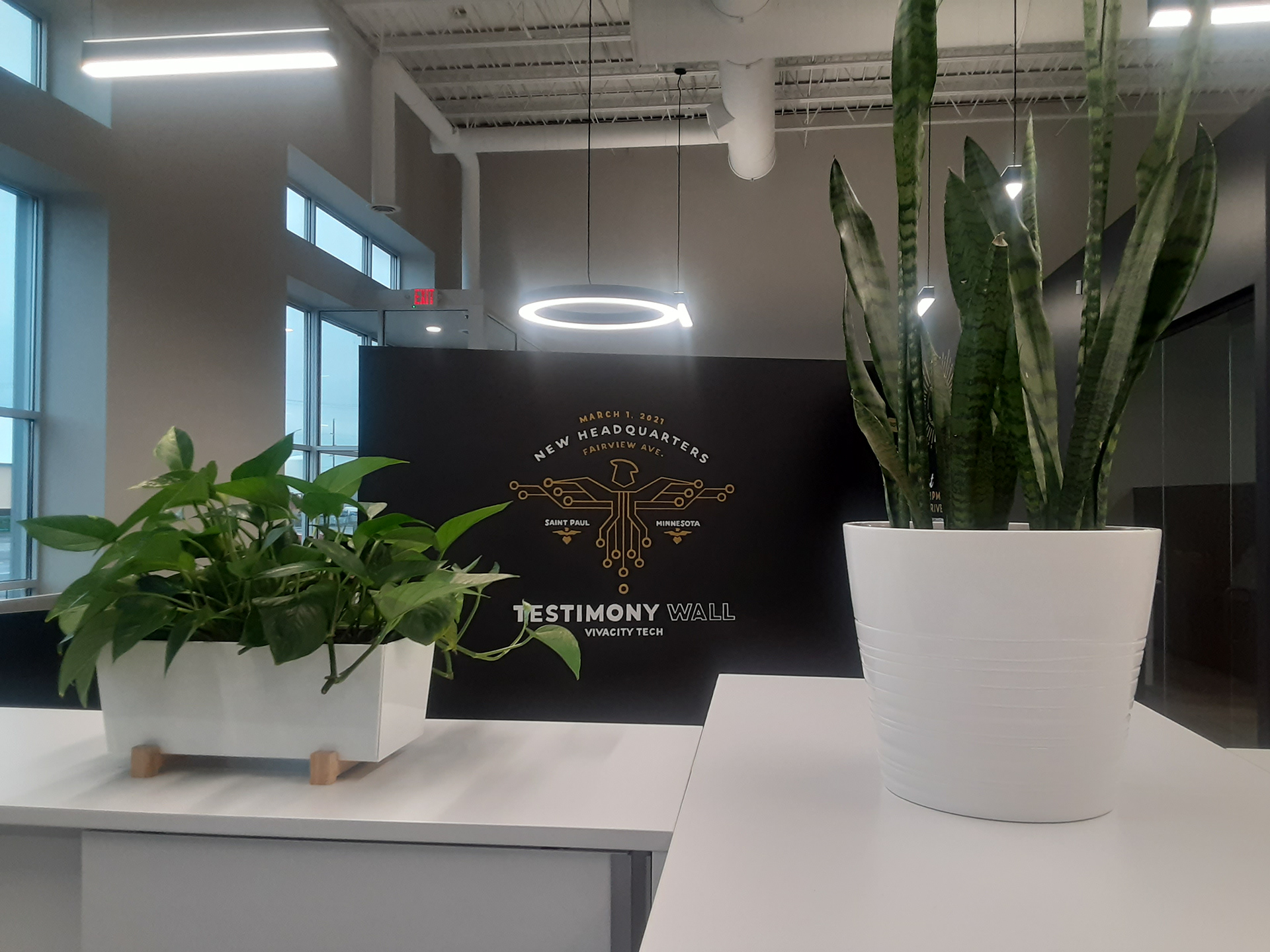 View from office workspaces 🦅