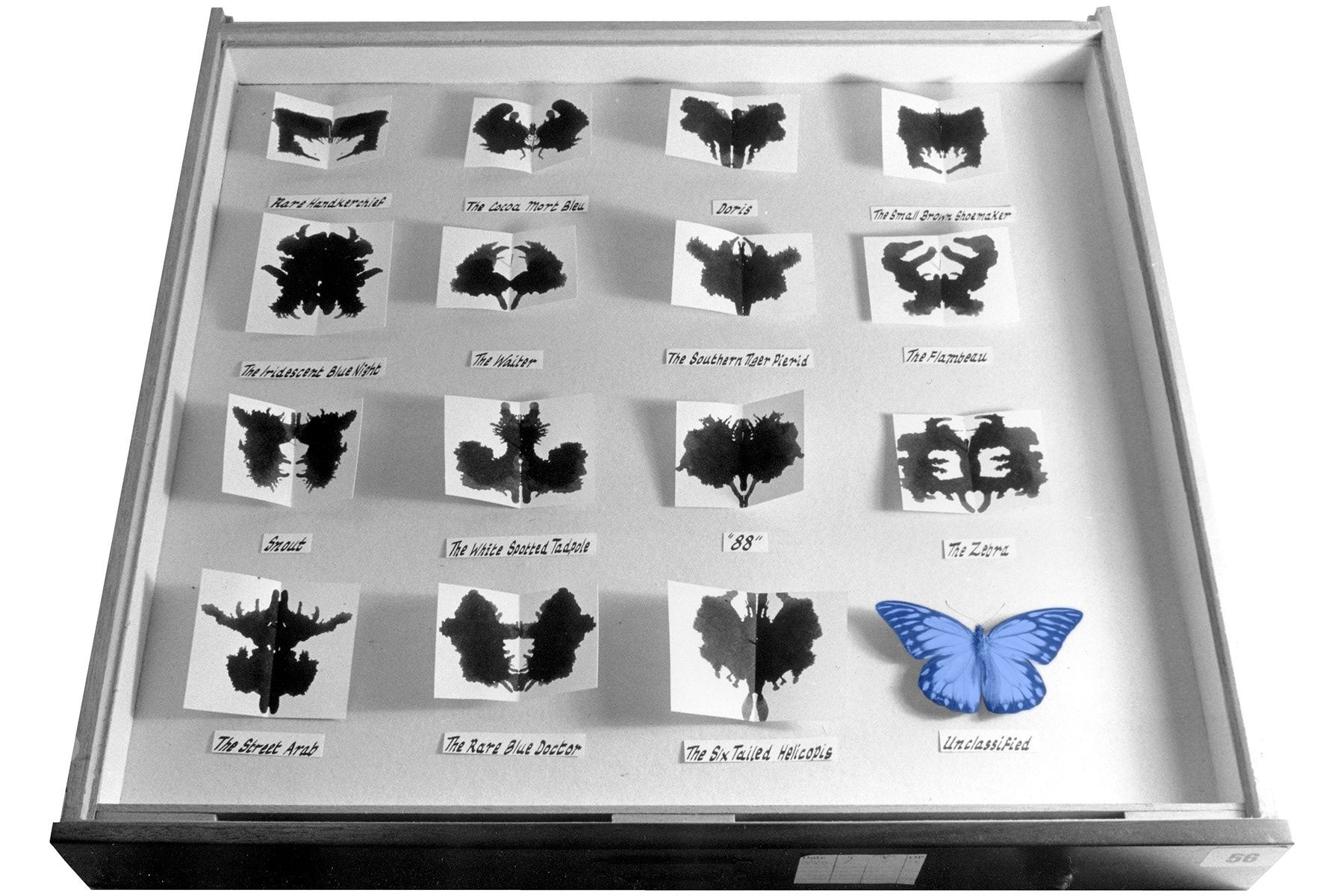 The Tale of Doctor Zeissman