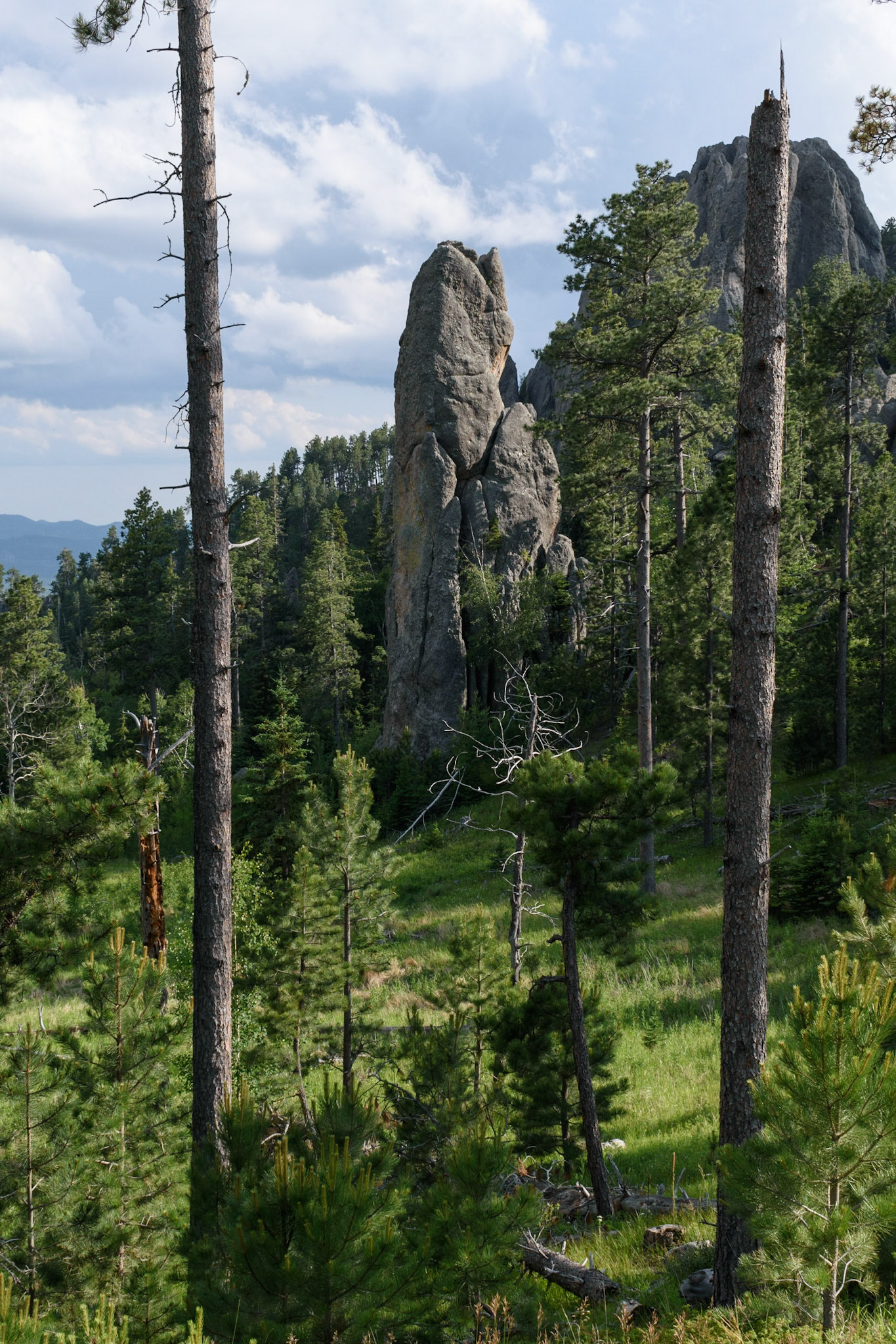 View from along the Needles Highway in the Blackhills.