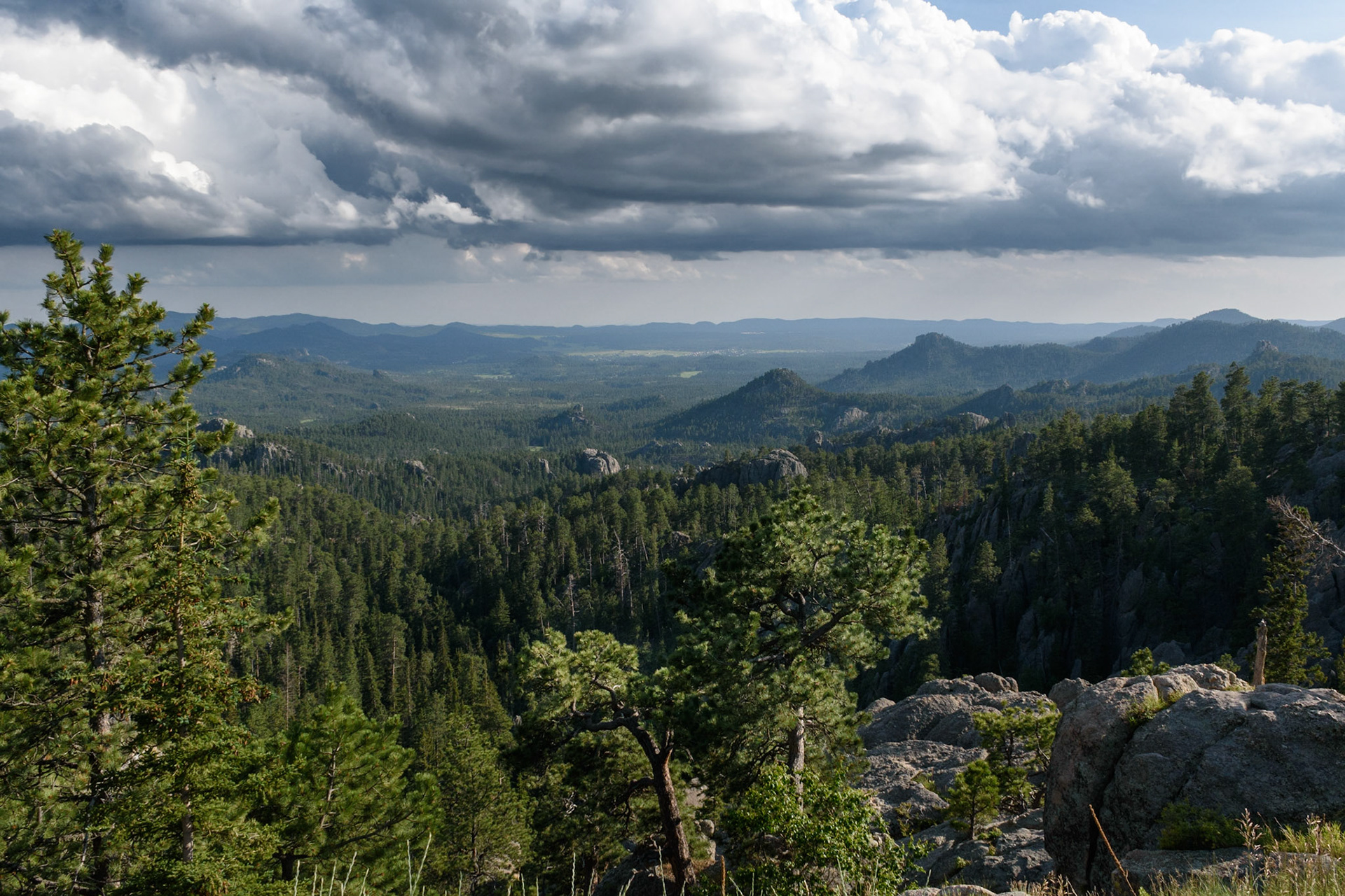 The Blackhills of South Dakota.