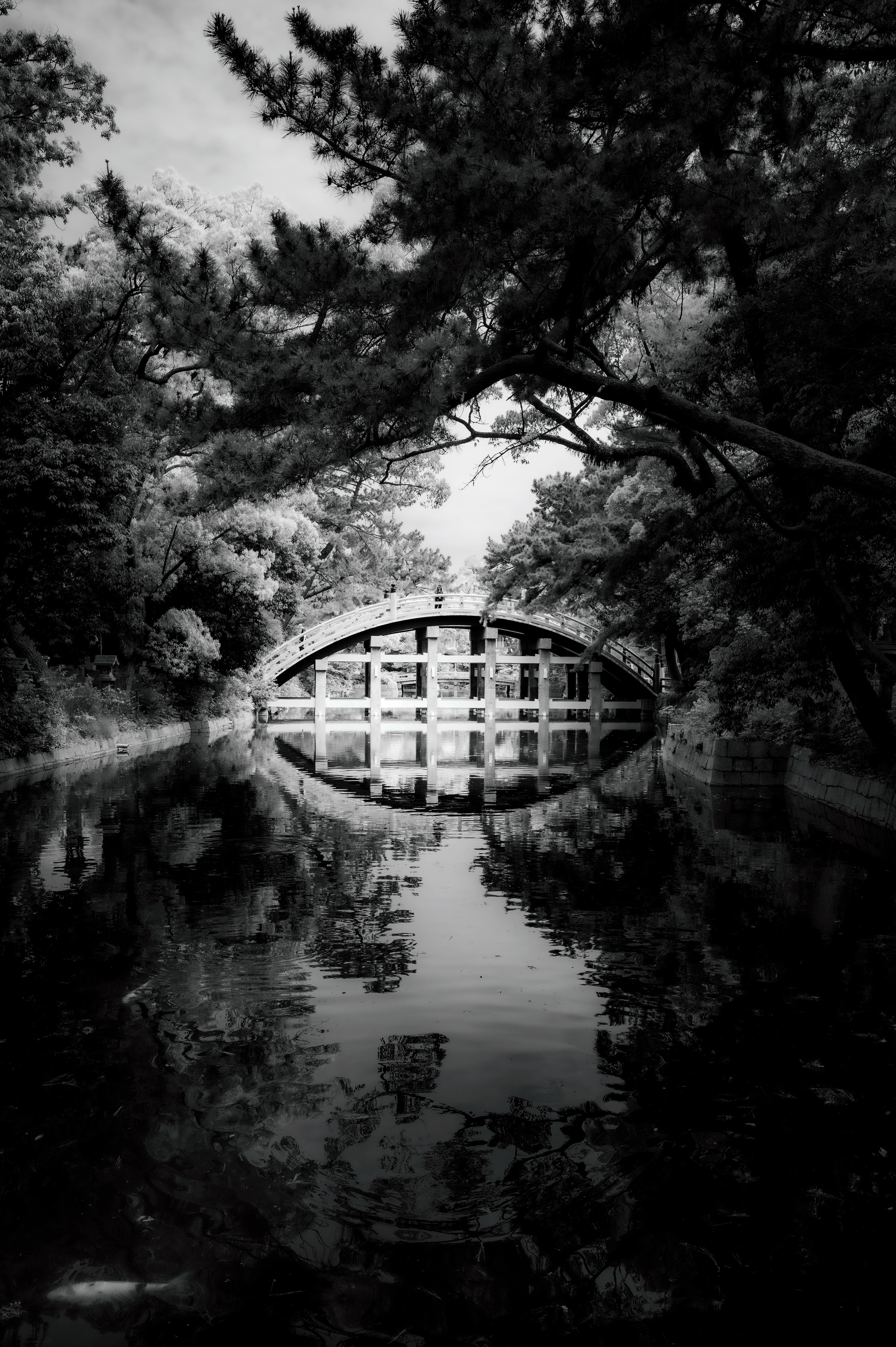 Reflection