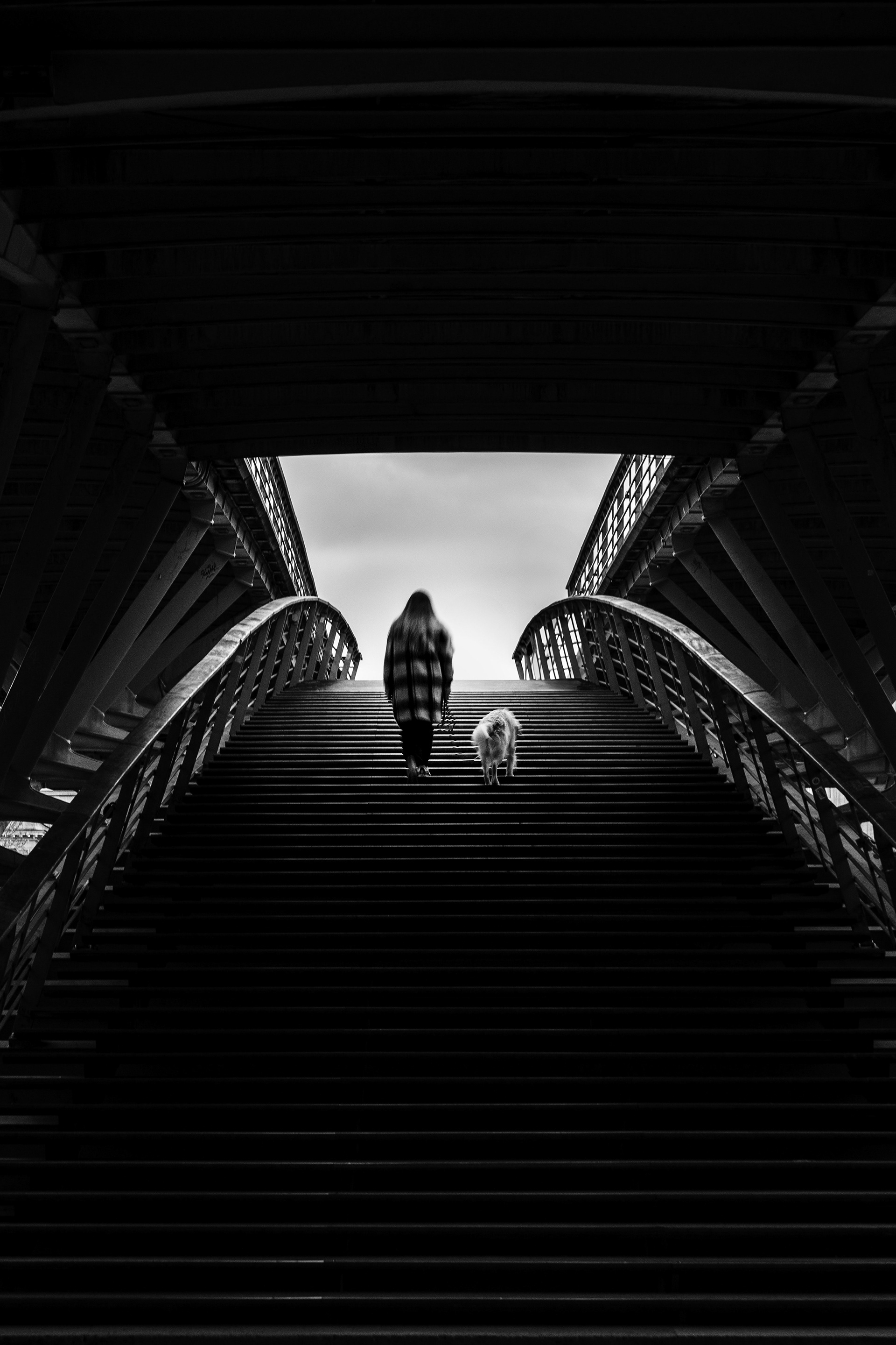 Woman walking up a Paris bridge staircase with her dog.