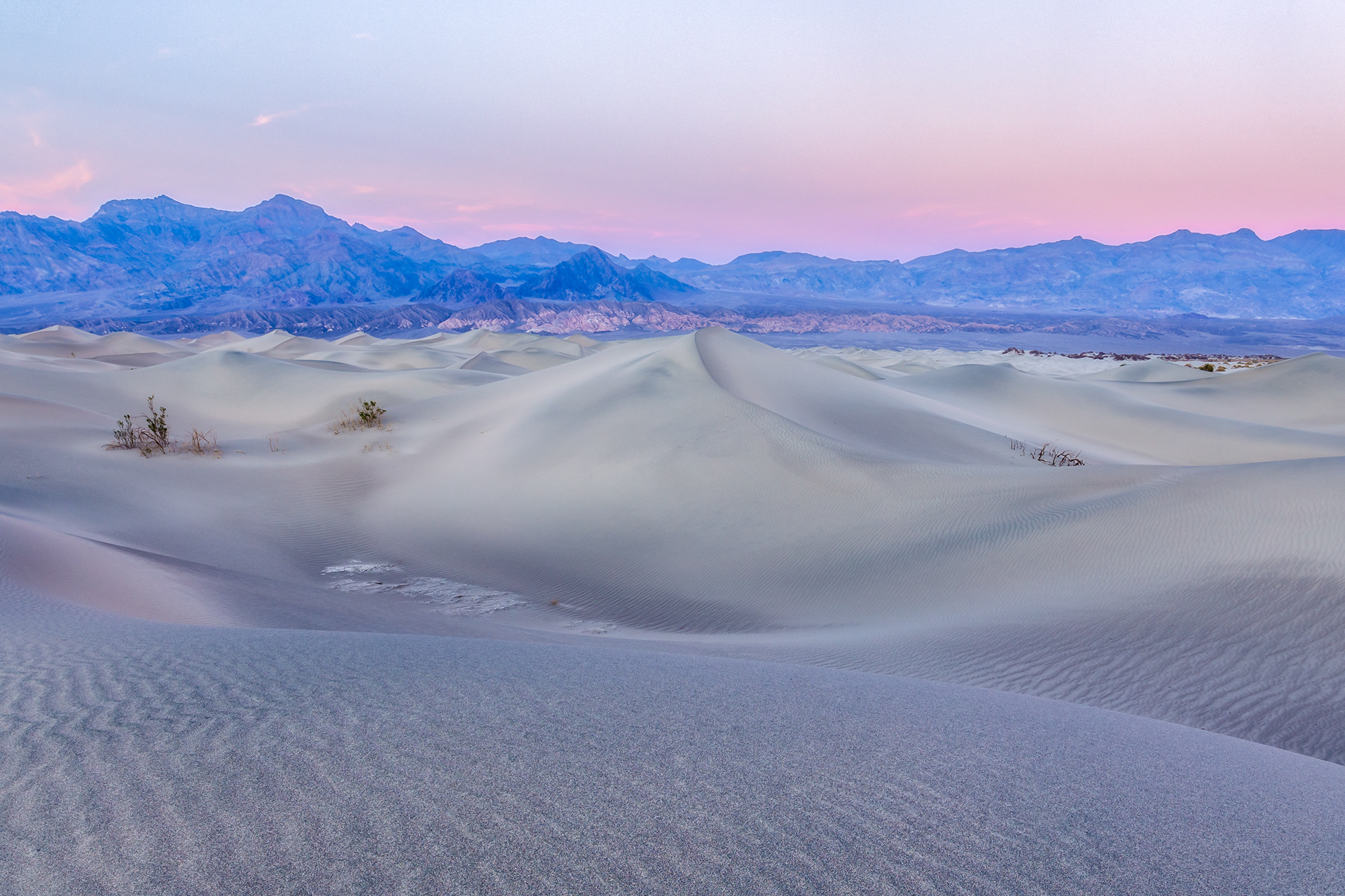 Blue Dune | Death Valley National Park (2021)
