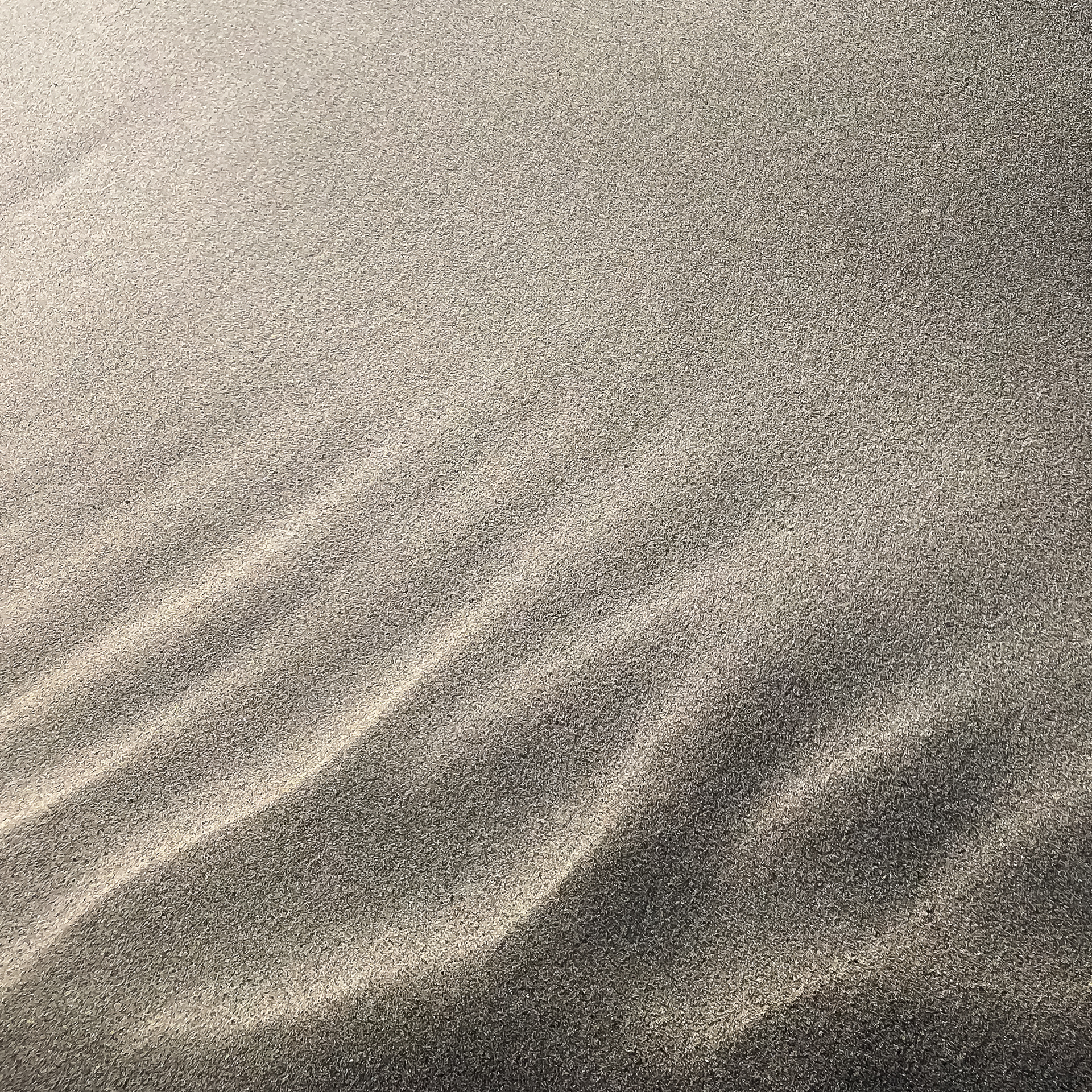 North Pacific Dunes | Central Coast, Oregon (2021)