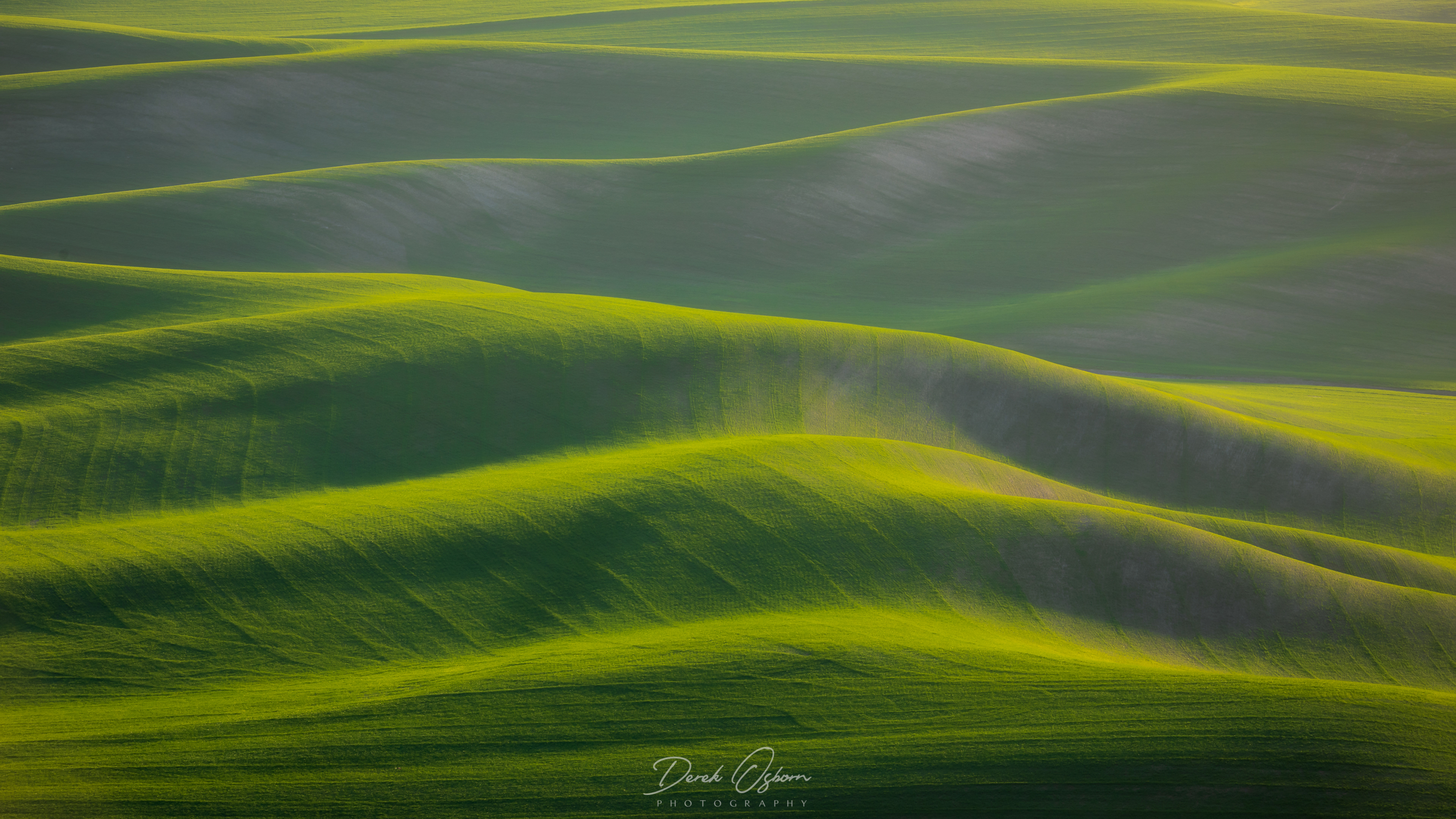 The Palouse in Spring | Eastern Washington (2019)