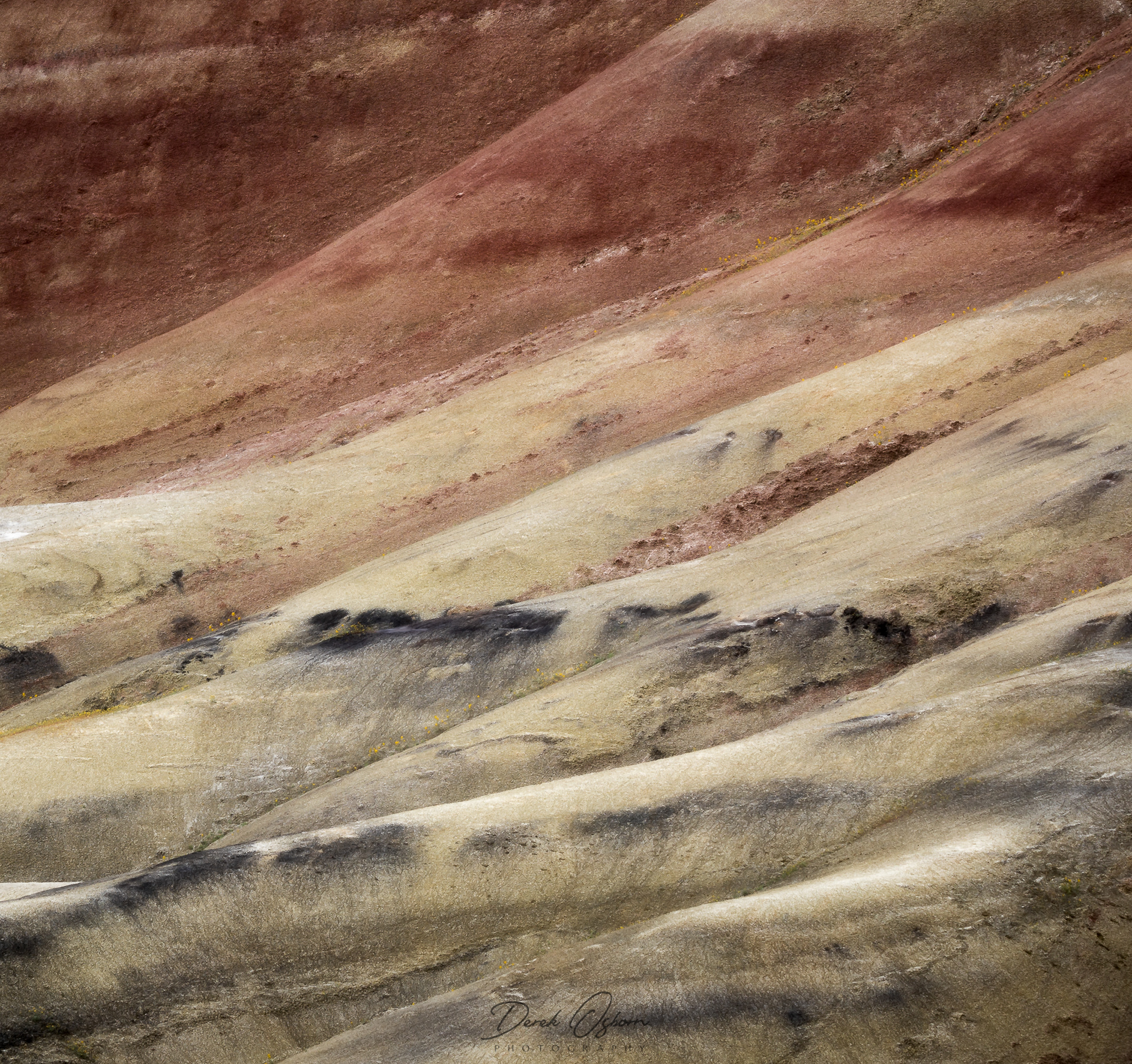 After the Rain | John Day Fossil Beds National Monument (2019)