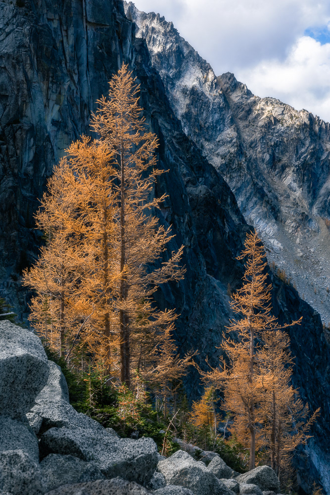 Dragon's Gold | The Enchantments (2021)