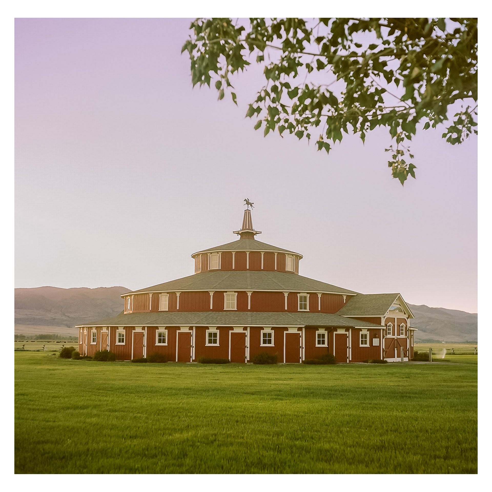 Round Barn / Dizzy Horses