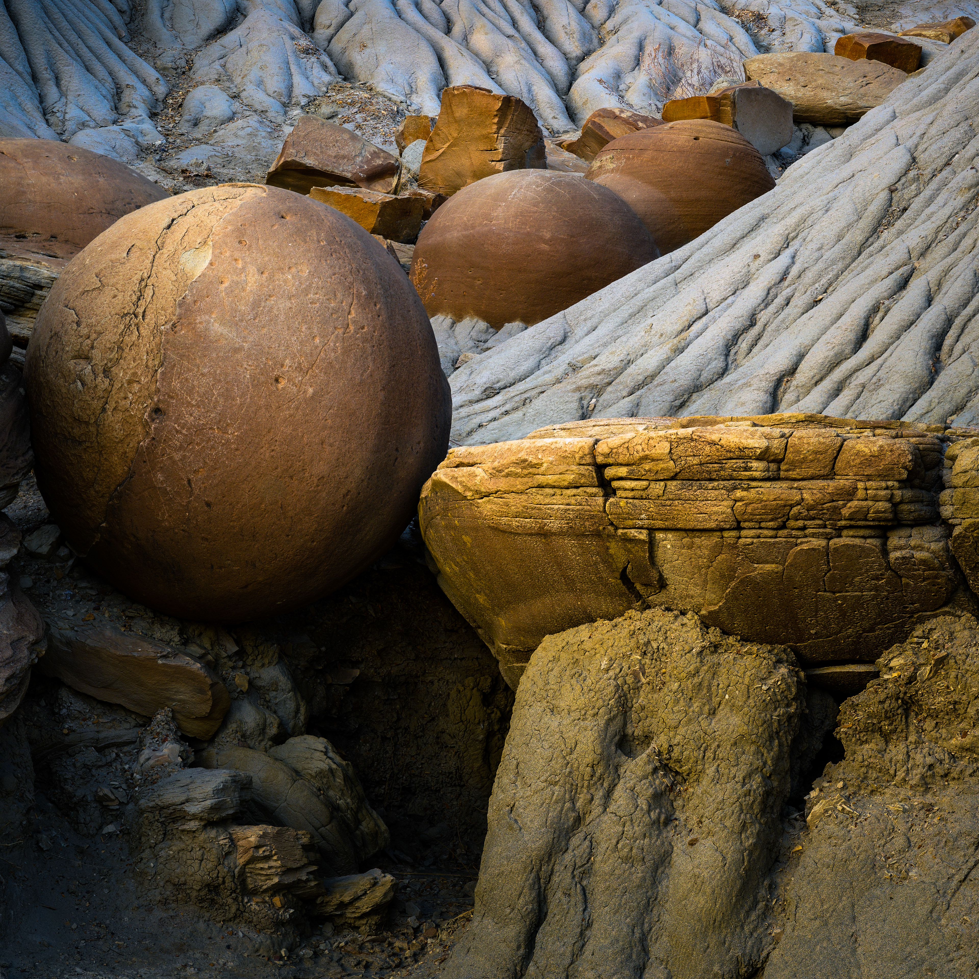 Ball of Confusion | Theodore Roosevelt National Park (2022)