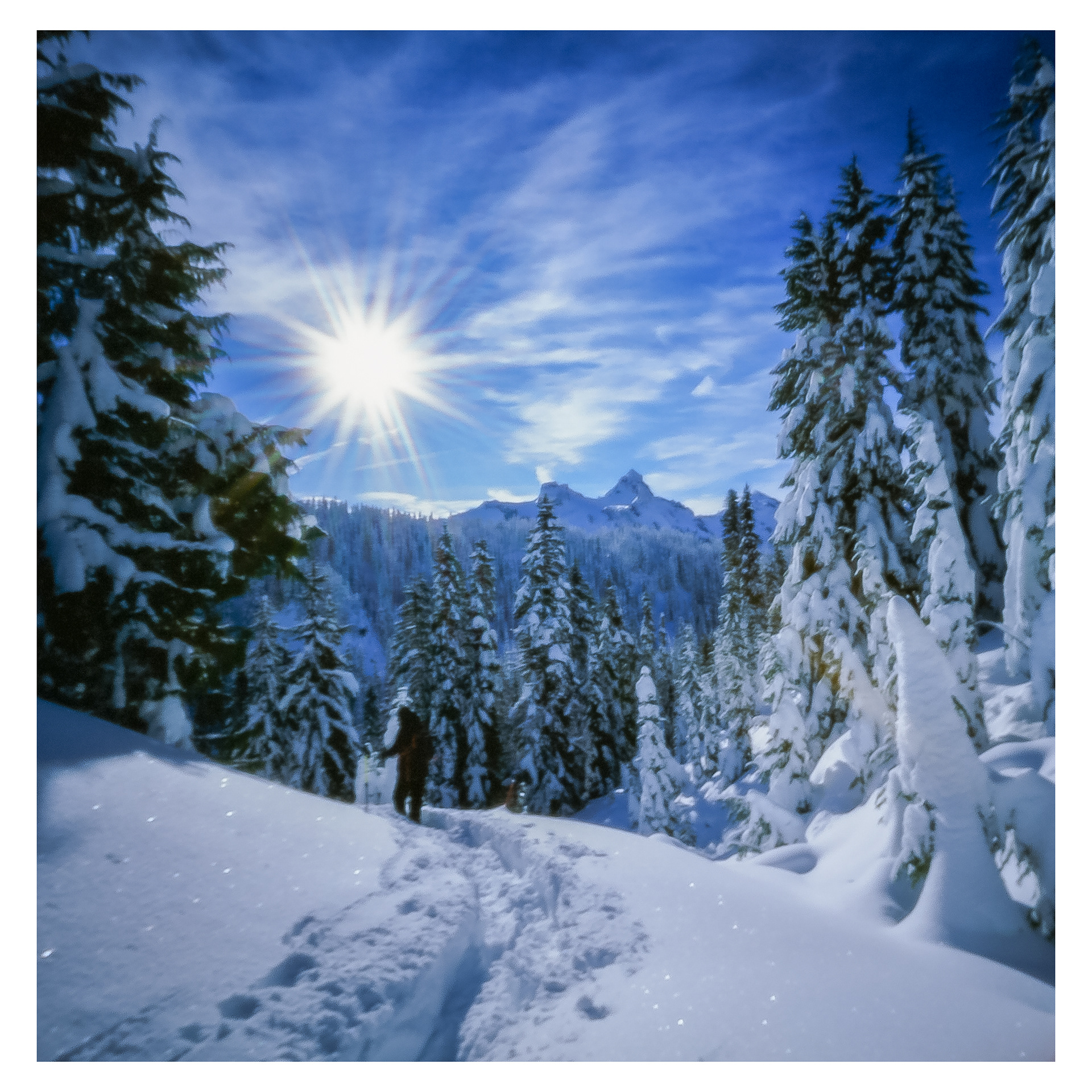 A Snowy Paradise