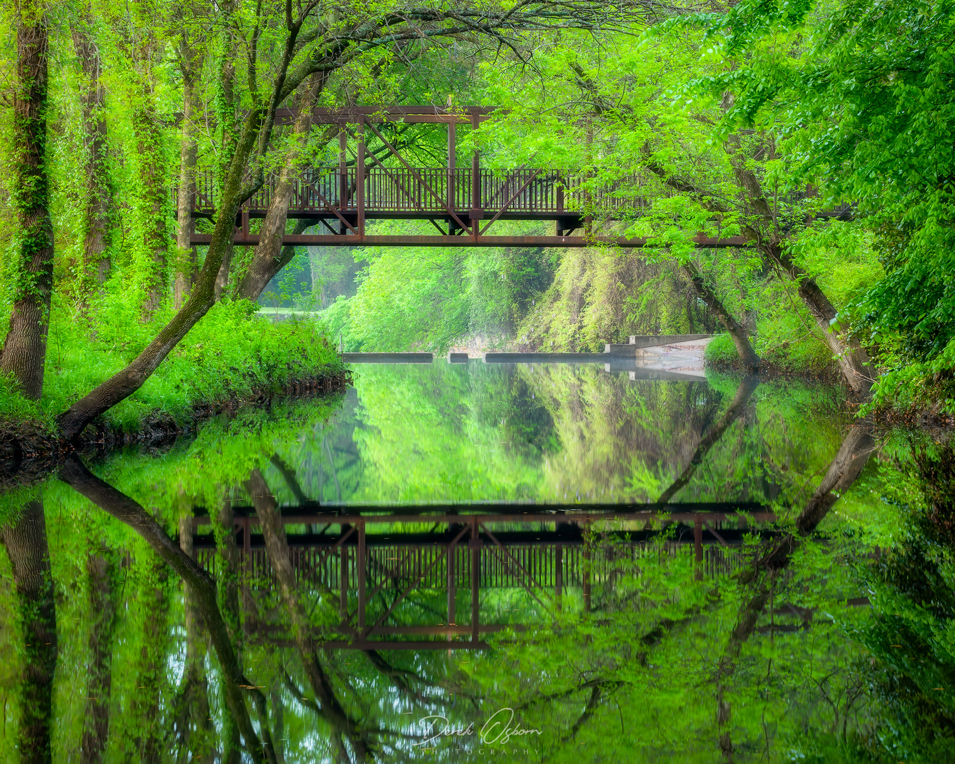 A Vitruvian Spring | Addison, Texas (2019)