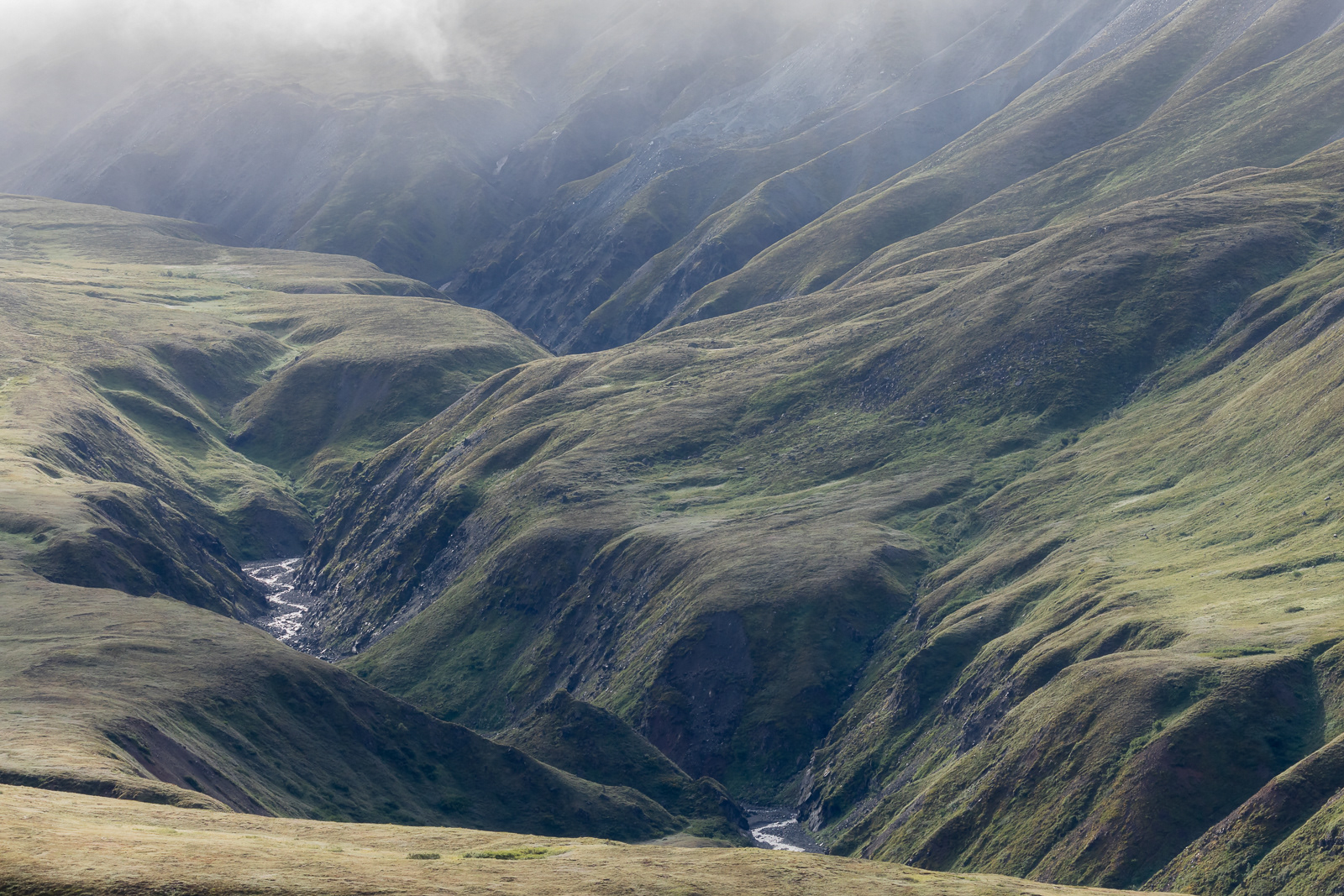 Forged by Glaciers | Denali National Park (2021)