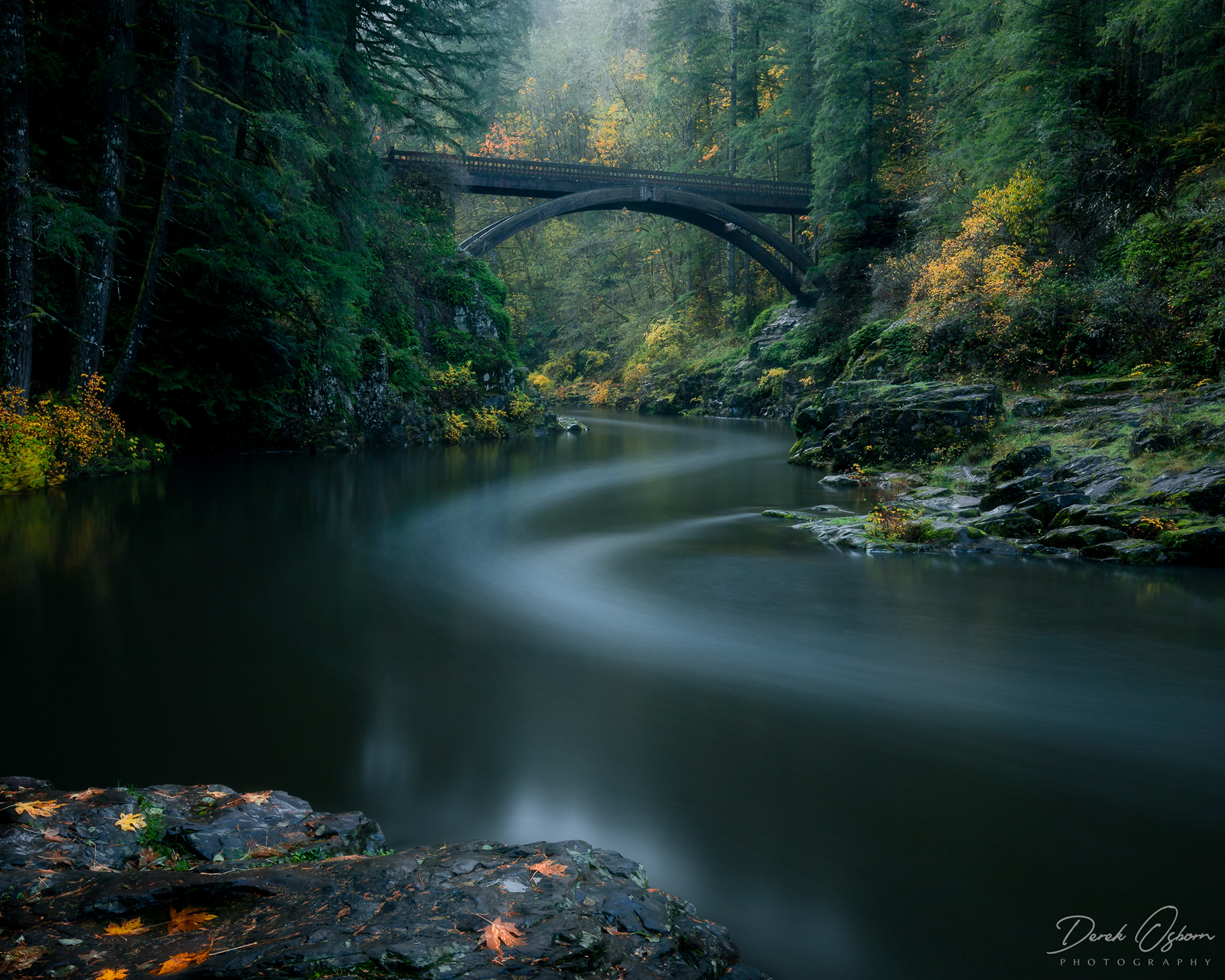 A Gentle Fall | Southwest Washington (2019)