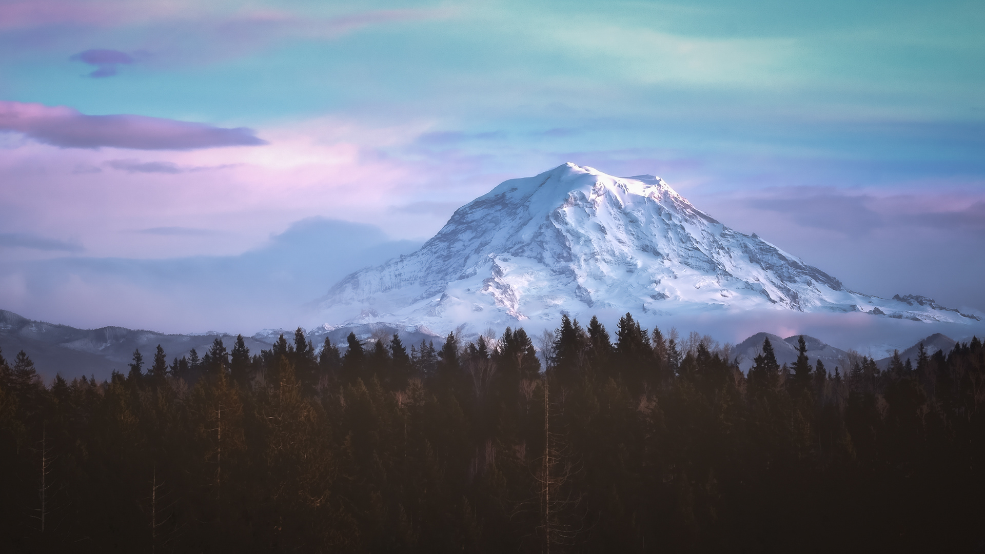Mountain Shadow | Mount Rainier National Park (2019)