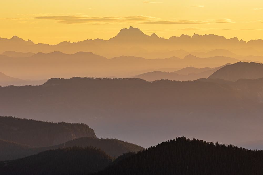 Golden Layers | Washington Cascades (2021)