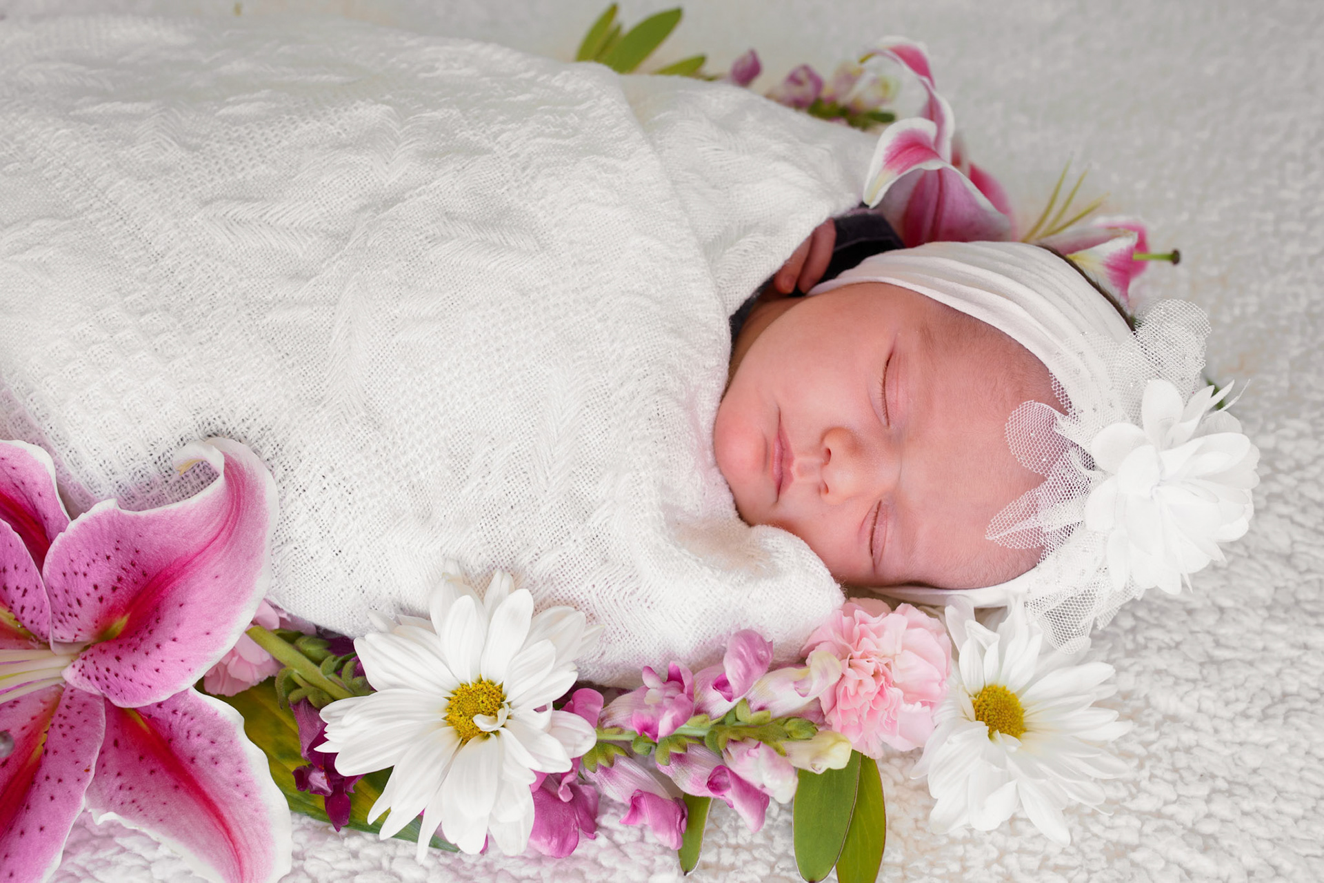 New Born Photo Session