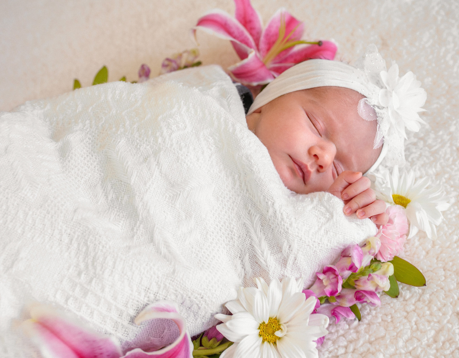 New Born Photo Session
