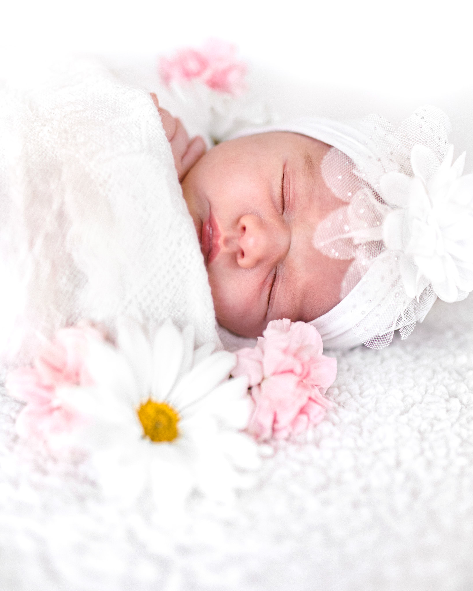 New Born Photo Session