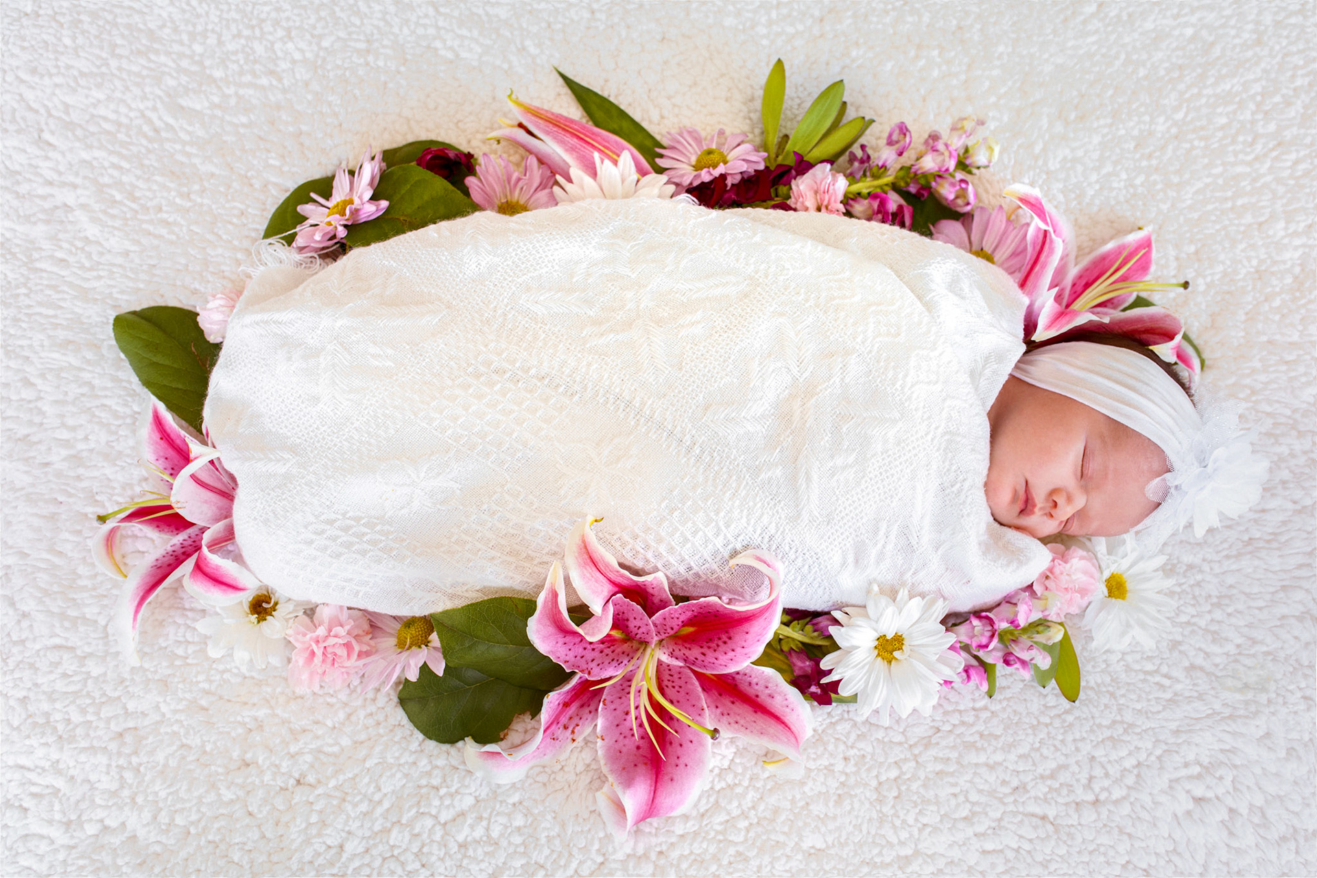 New Born Photo Session