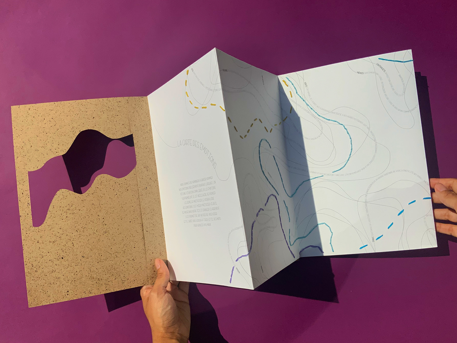 La carte des émotions