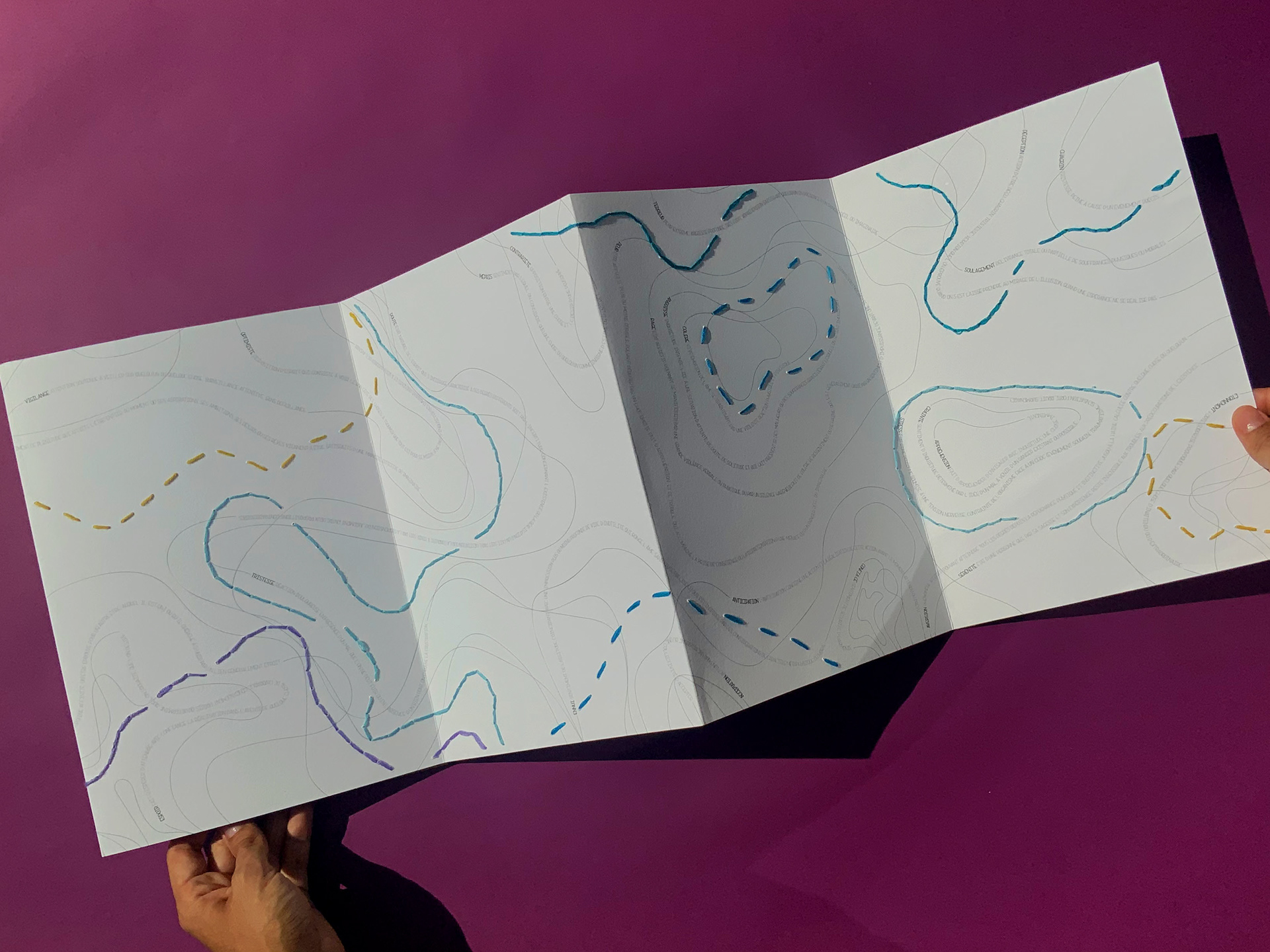 La carte des émotions