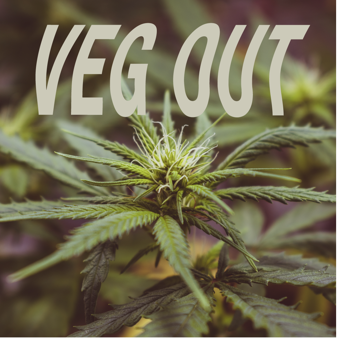 veg out social media post design