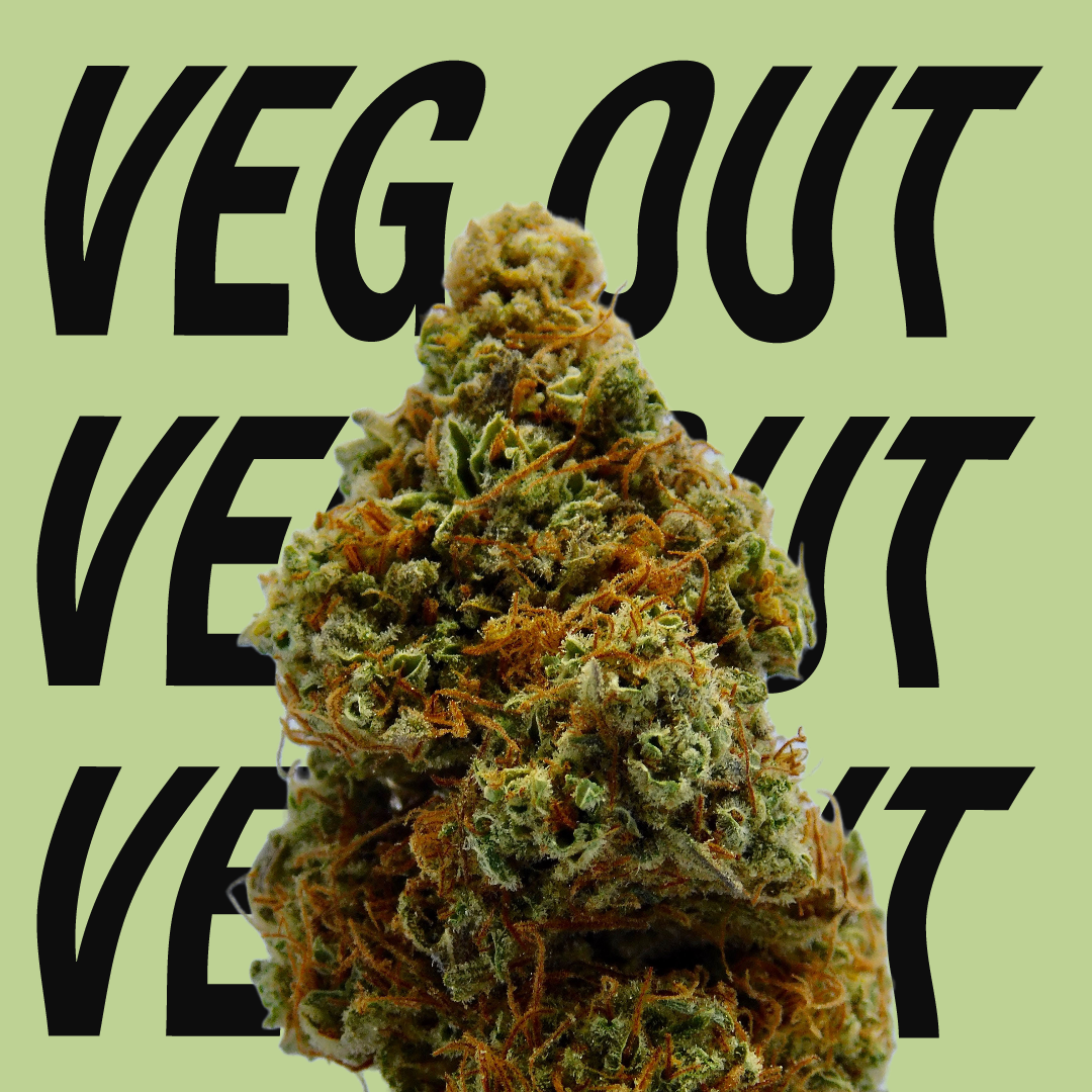 veg out social media post design